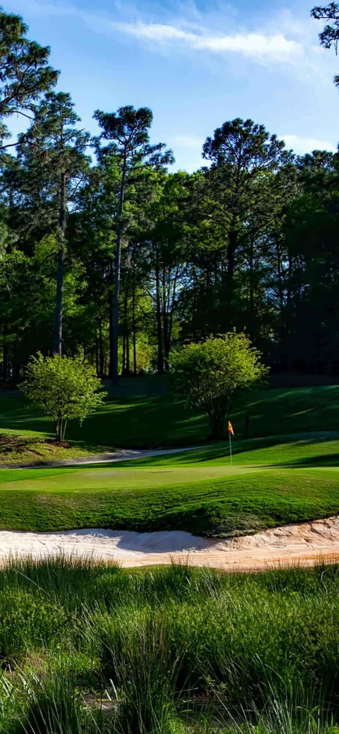 Disfruta la belleza atemporal de la naturaleza con una ronda de golf en tu iPhone X. Fondos de pantalla