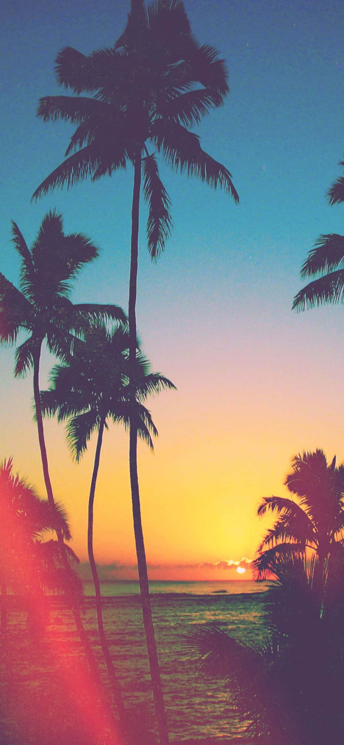Disfruta la belleza de California con el iPhone X Fondos de pantalla