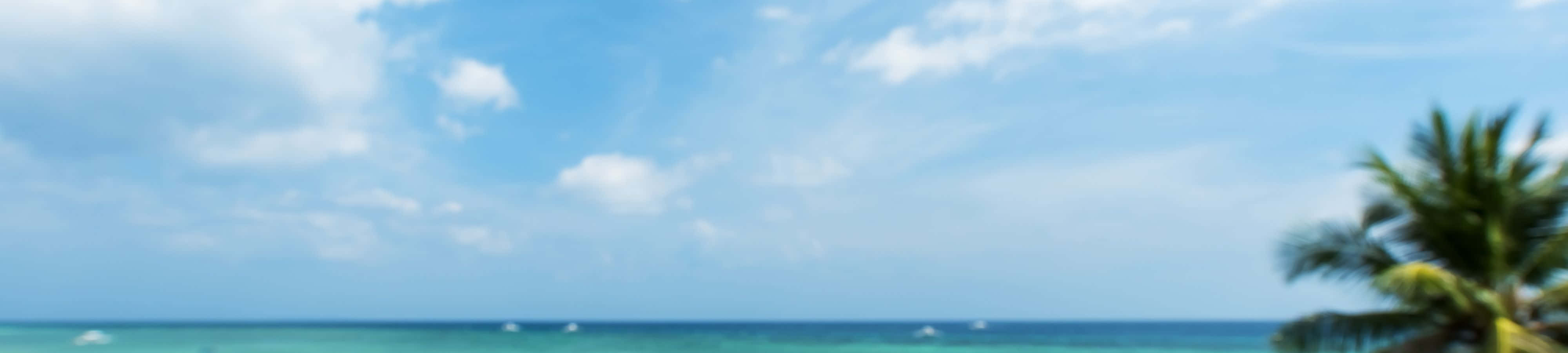Disfruta la belleza de la naturaleza Fondos de pantalla