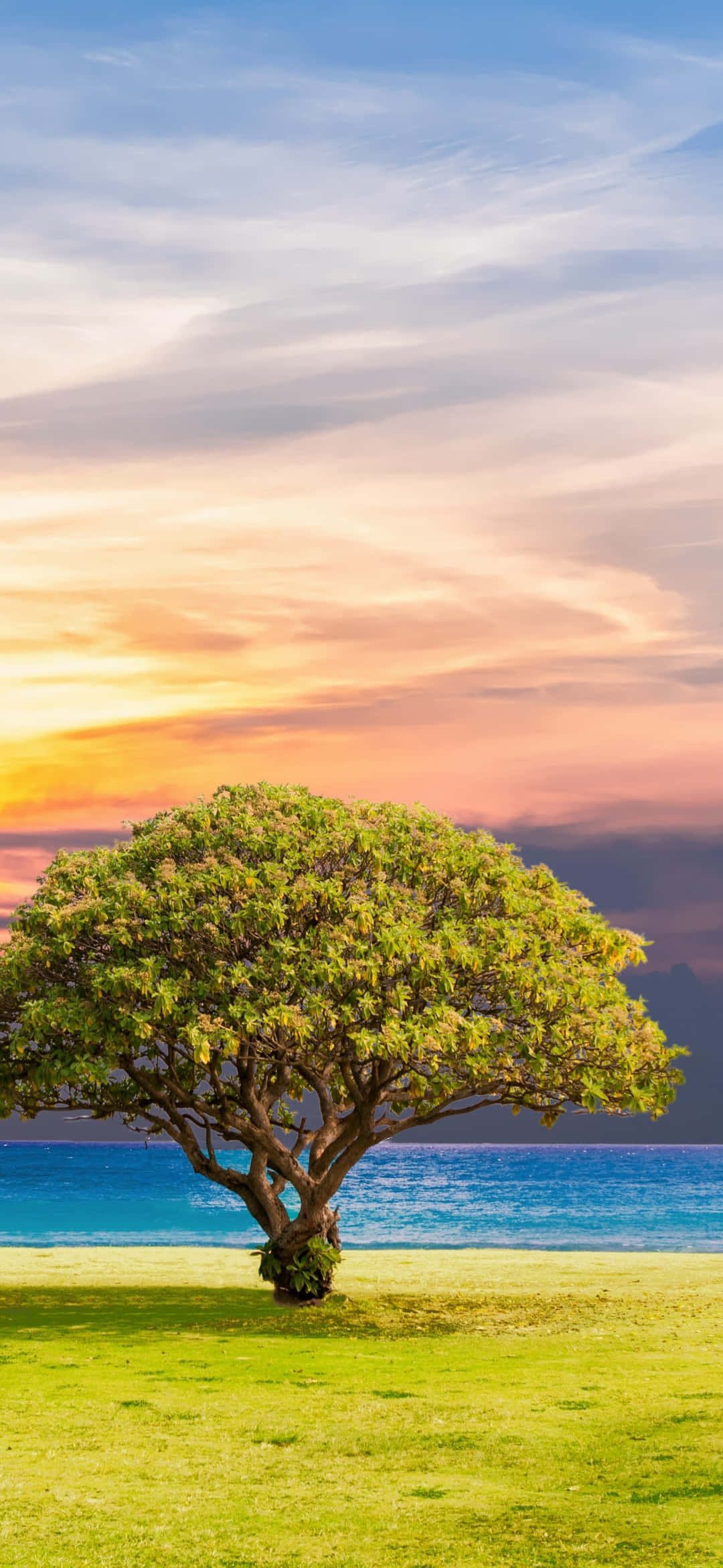 Disfruta la belleza de la naturaleza en todo su esplendor Fondos de pantalla