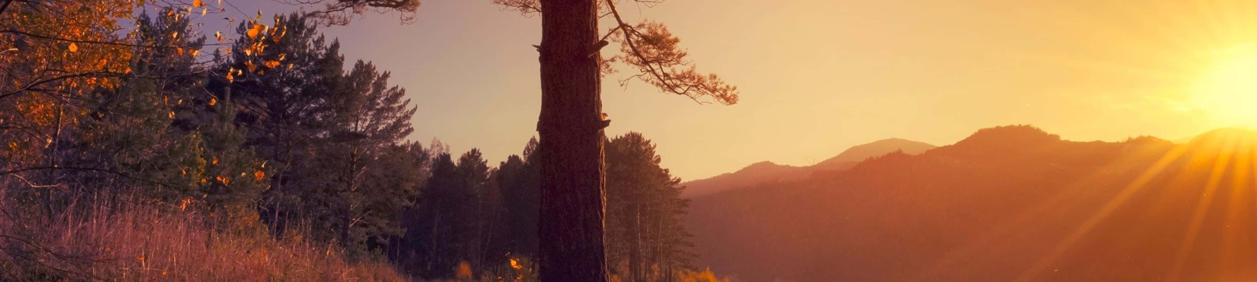 Disfruta la belleza de la naturaleza Fondos de pantalla