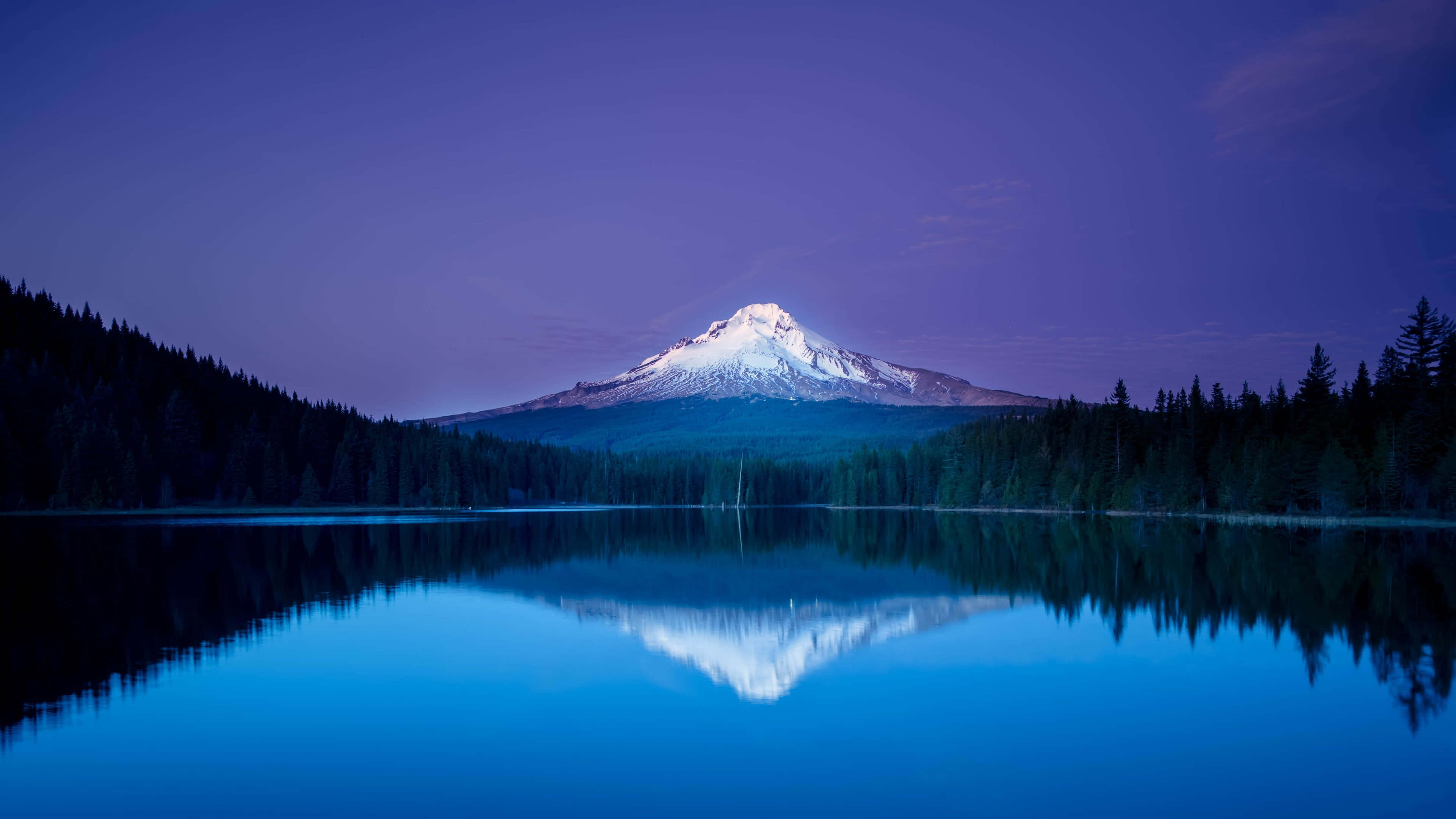 Disfruta la belleza de la naturaleza Fondos de pantalla