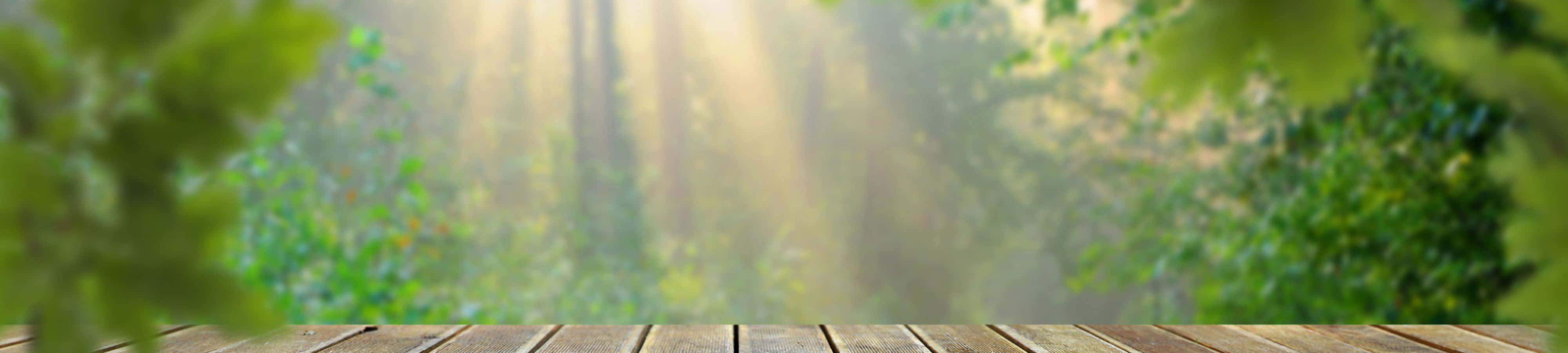 Disfruta la belleza de la naturaleza Fondos de pantalla