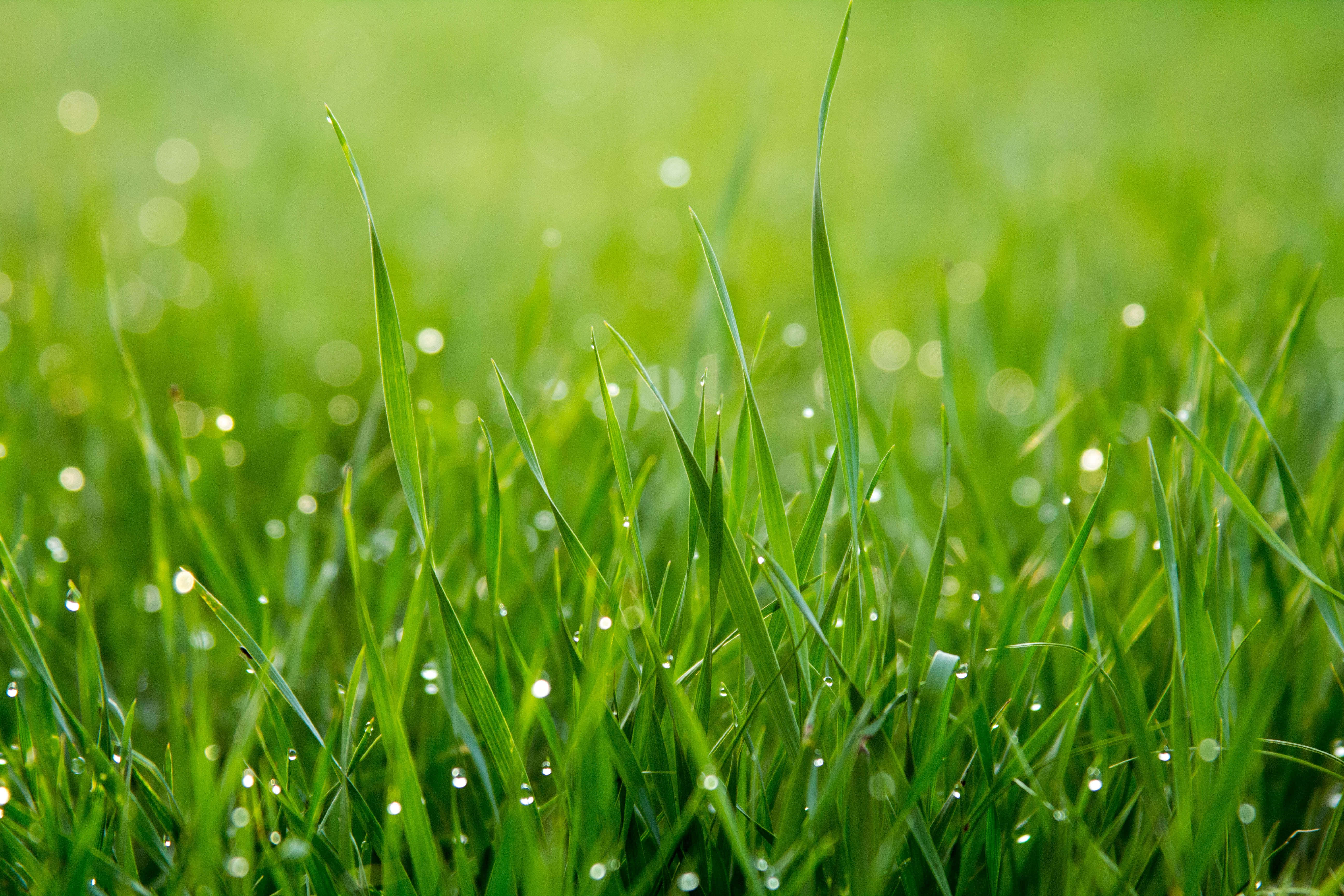 Disfruta la belleza de la naturaleza Fondos de pantalla
