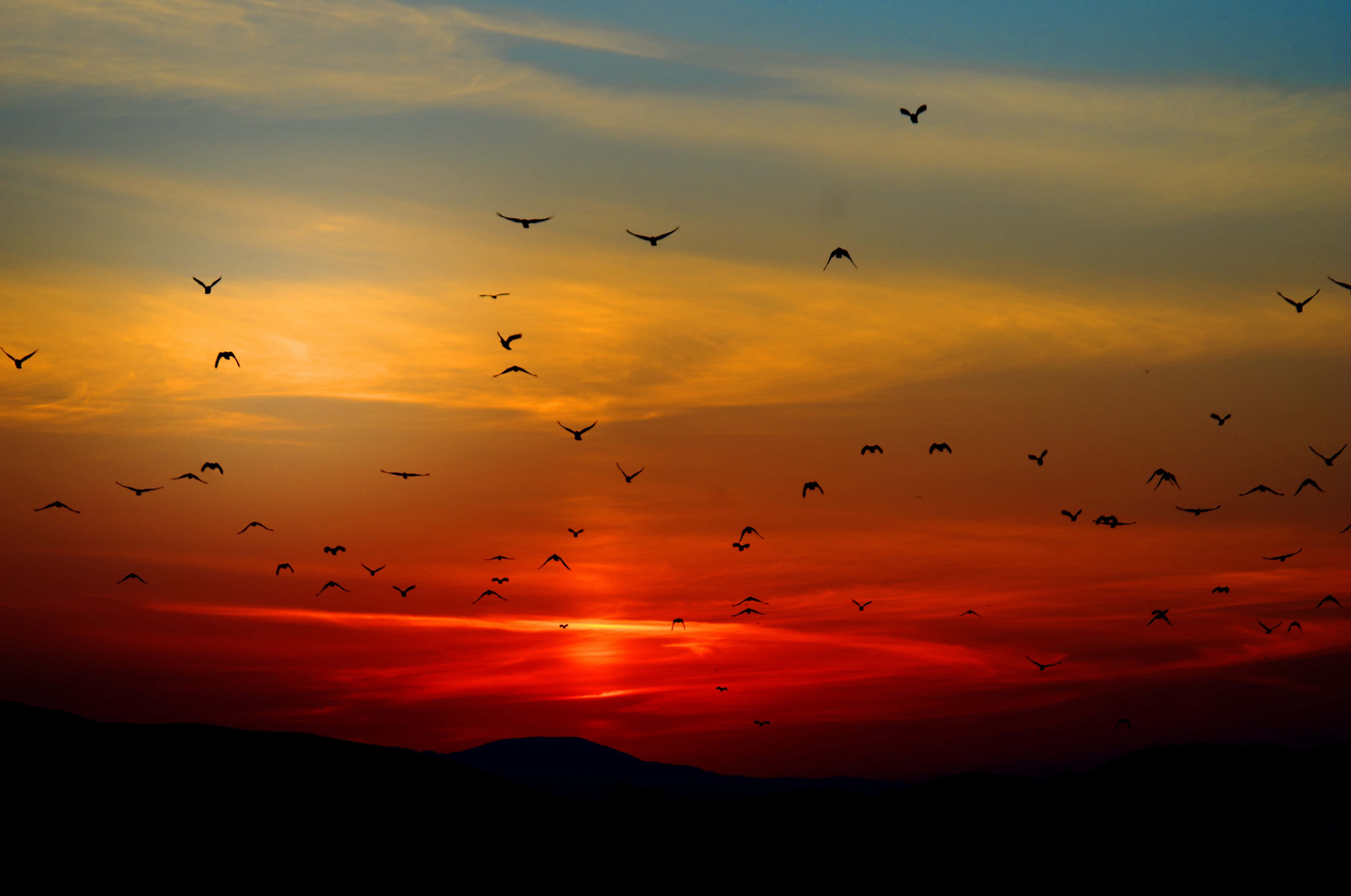 Disfruta la belleza de un atardecer impresionante Fondos de pantalla