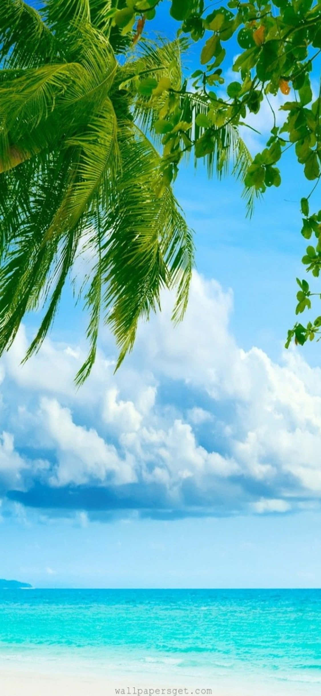 Disfruta la belleza de una playa con tu iPhone Xs Fondos de pantalla