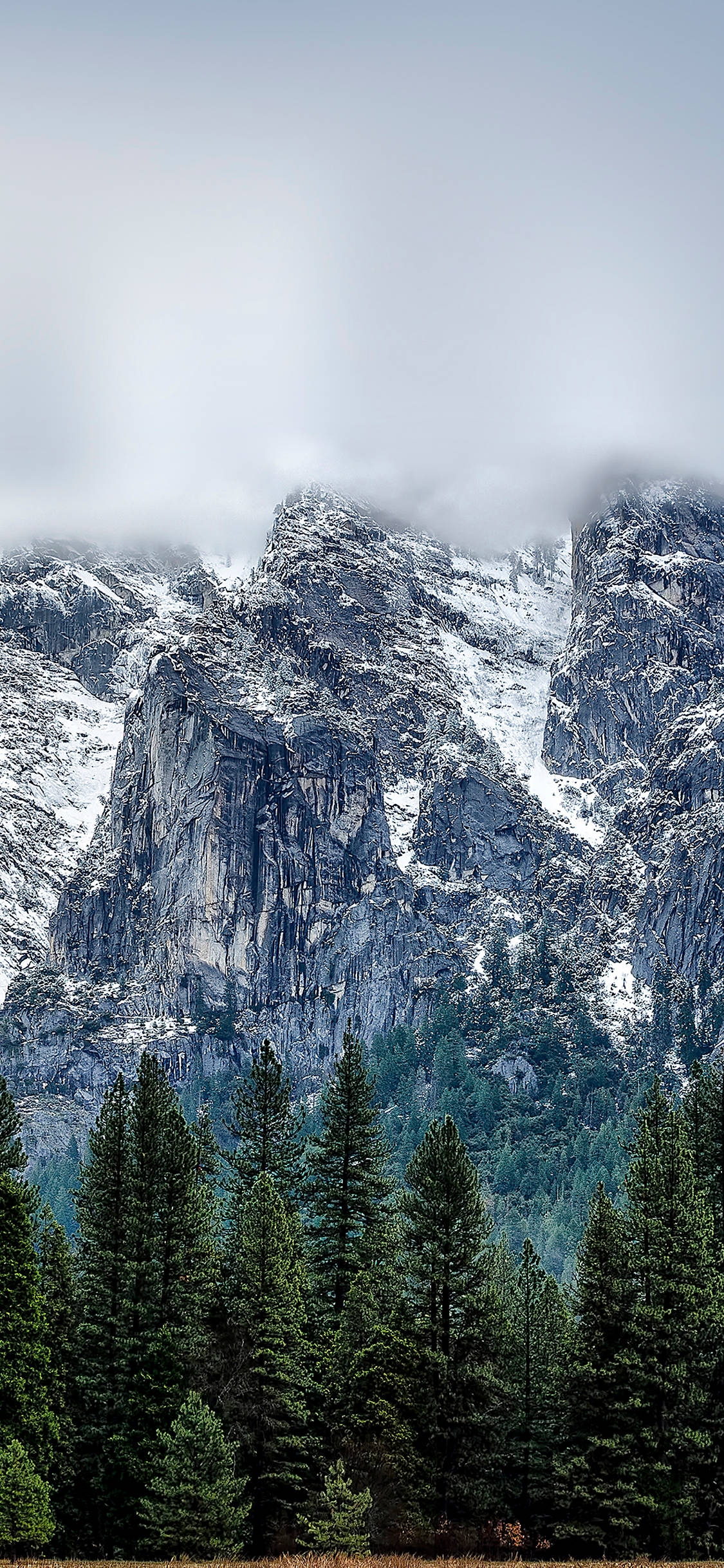 Disfruta la belleza de Yosemite en tu iPhone Fondos de pantalla