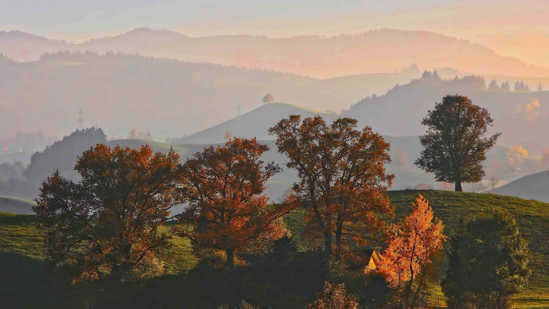 Disfruta la belleza del otoño con estos impresionantes colores y paisajes otoñales estéticos. Fondos de pantalla