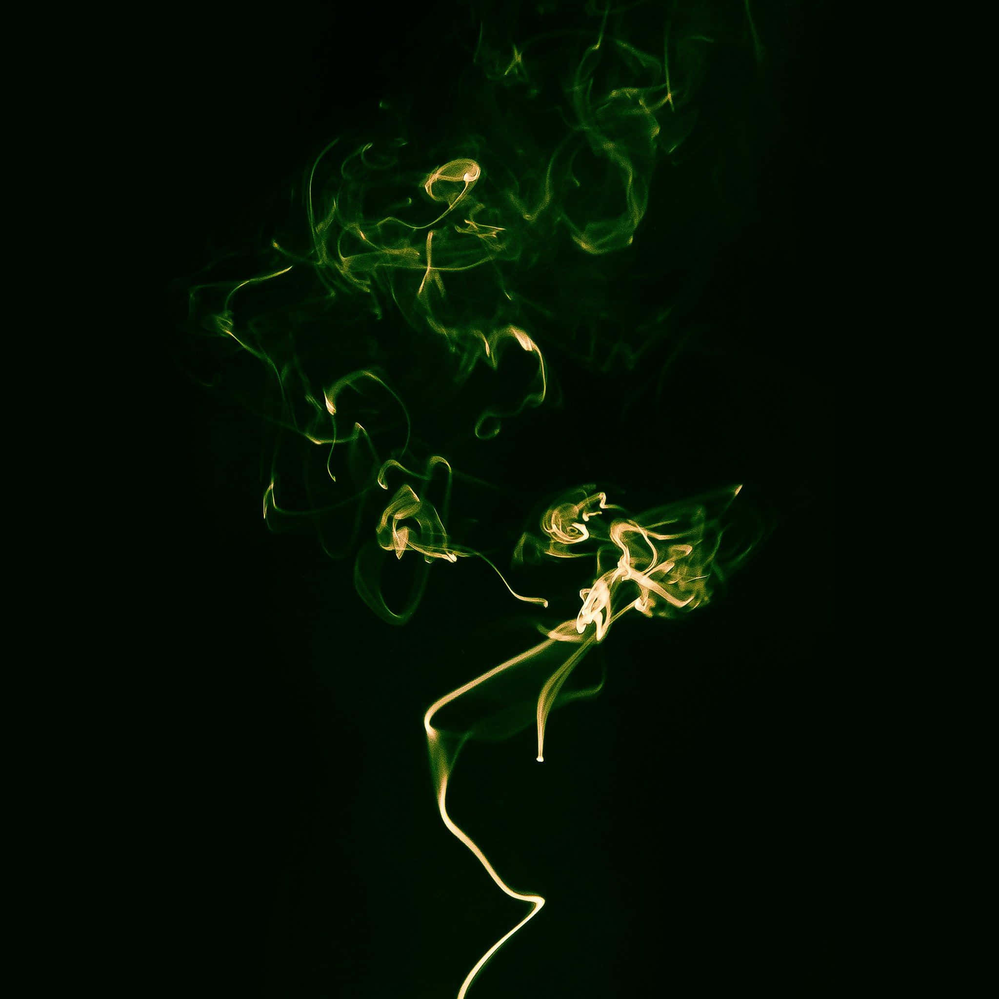 Disfruta la belleza rústica de una estética verde oscuro Fondos de pantalla