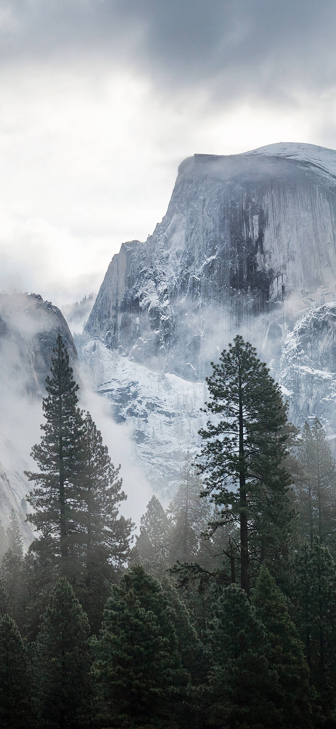 Disfruta la belleza y las maravillas de Yosemite desde tu iPhone Fondos de pantalla