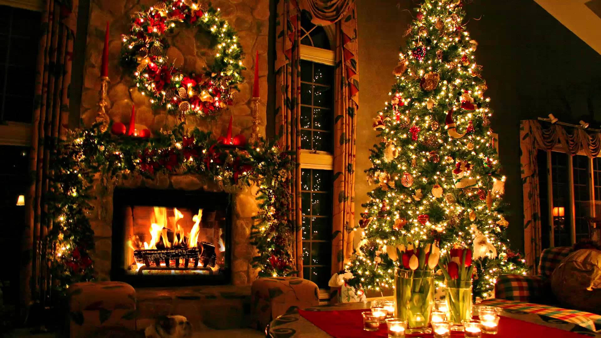 Disfruta la calidez de una Navidad acogedora con un árbol brillante. Fondos de pantalla
