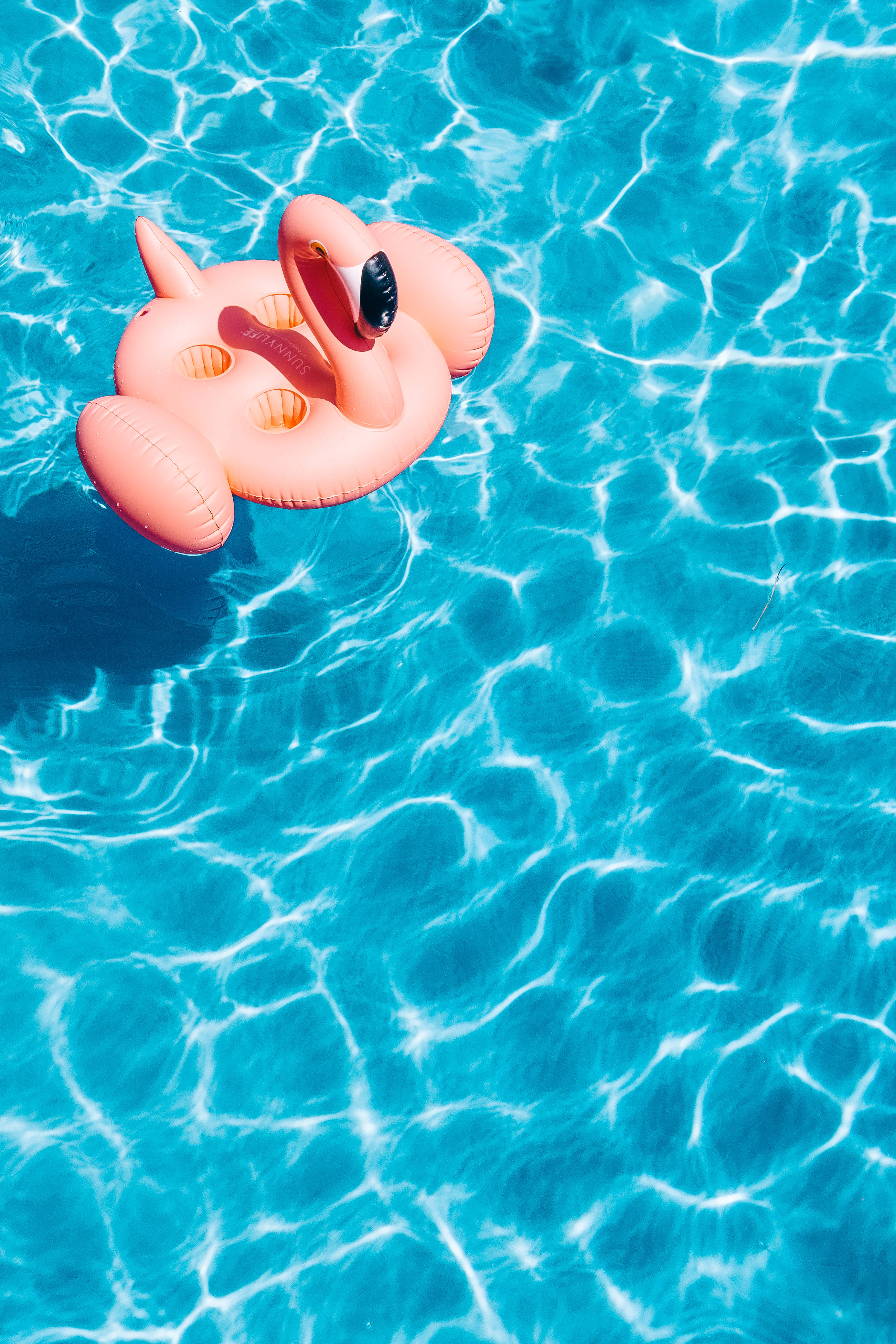 Disfruta la Diversión del Verano Flotando en un Flamenco Inflable Gigante Fondos de pantalla