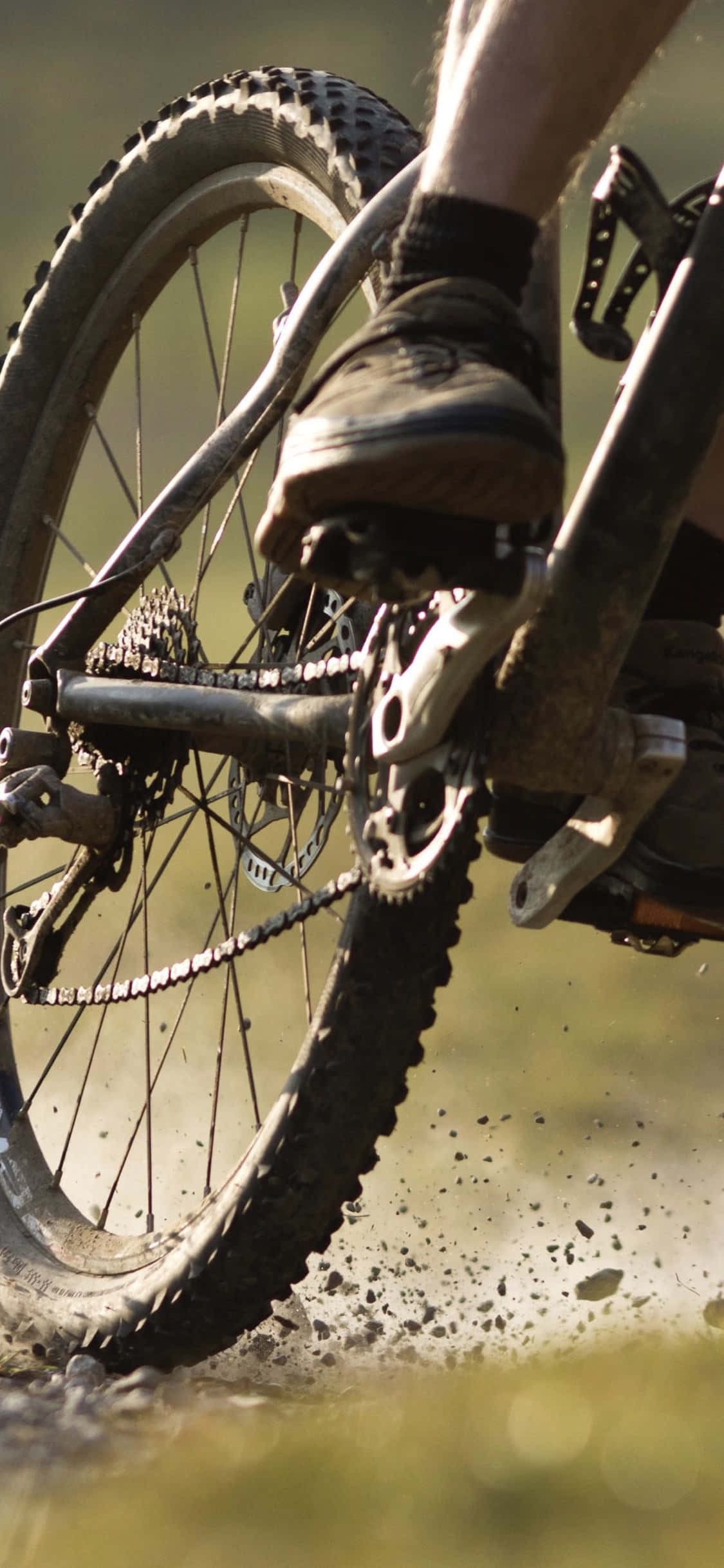 Disfruta la emoción del ciclismo de montaña al aire libre con tu iPhone. Fondos de pantalla