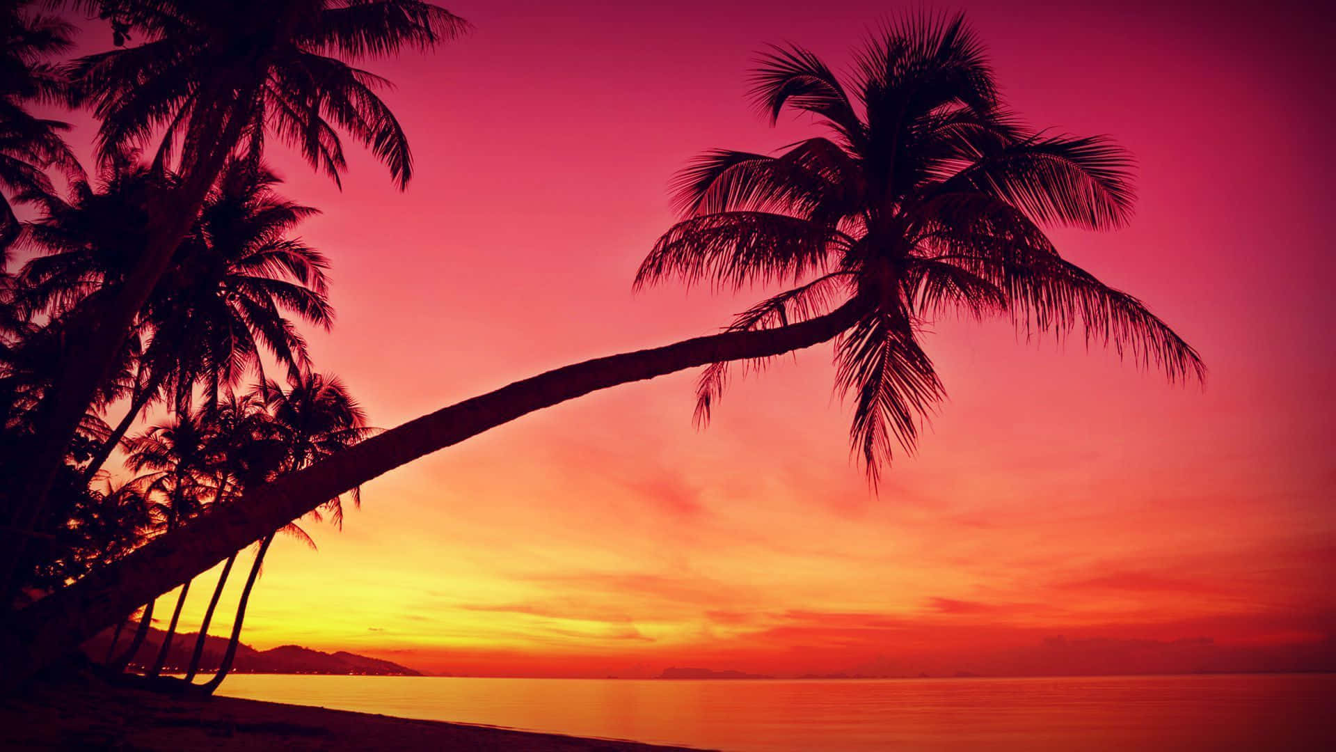 Disfruta la hermosa vista de un atardecer en la playa. Fondos de pantalla