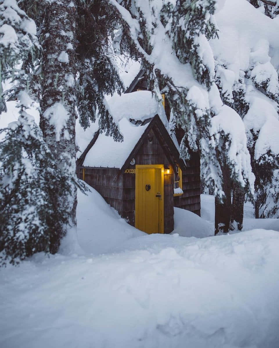 Disfruta la magia del invierno y admira la serenidad de la nieve Fondos de pantalla