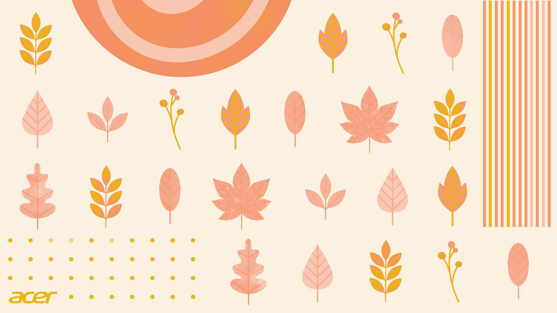 Disfruta la temporada de otoño, sintiéndote lindo y cómodo. Fondos de pantalla