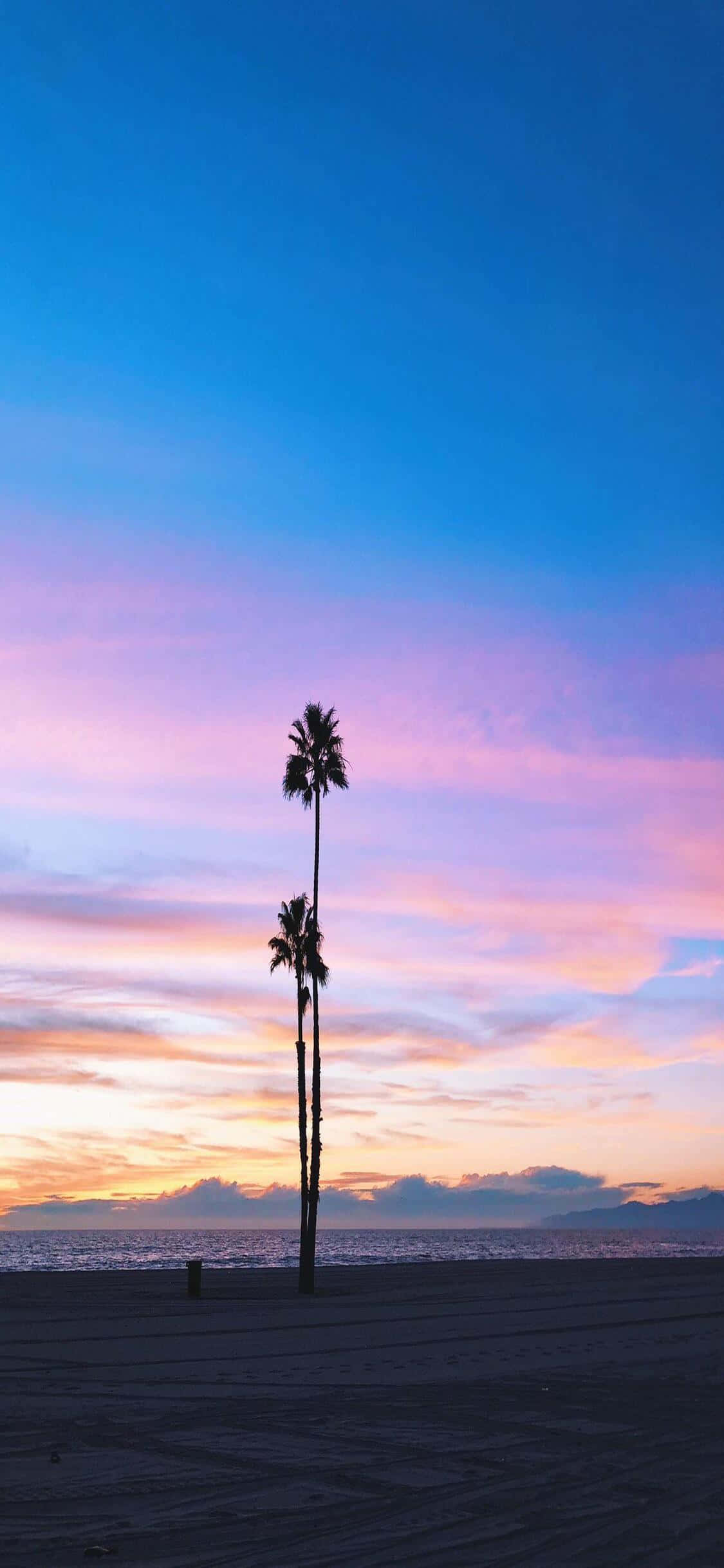 Disfruta la vida en el Estado Dorado con el iPhone X California Fondos de pantalla