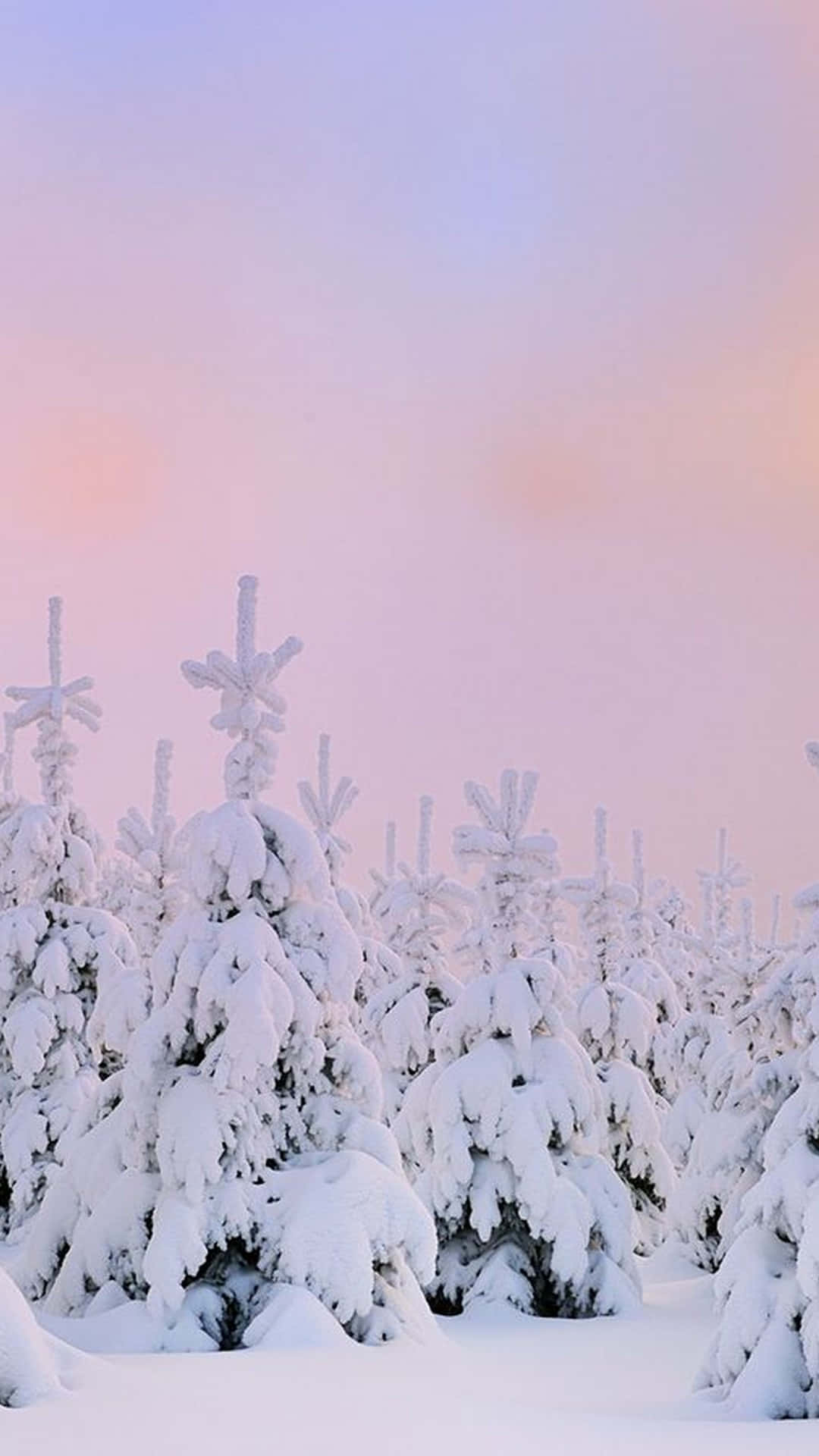 Disfruta las cumbres de la belleza invernal con una vista tranquila de montañas cubiertas de nieve Fondos de pantalla