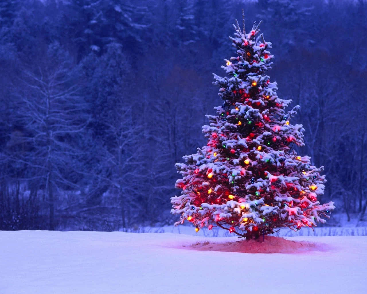 Disfruta las mejores vacaciones de invierno del año con un escritorio navideño festivo. Fondos de pantalla