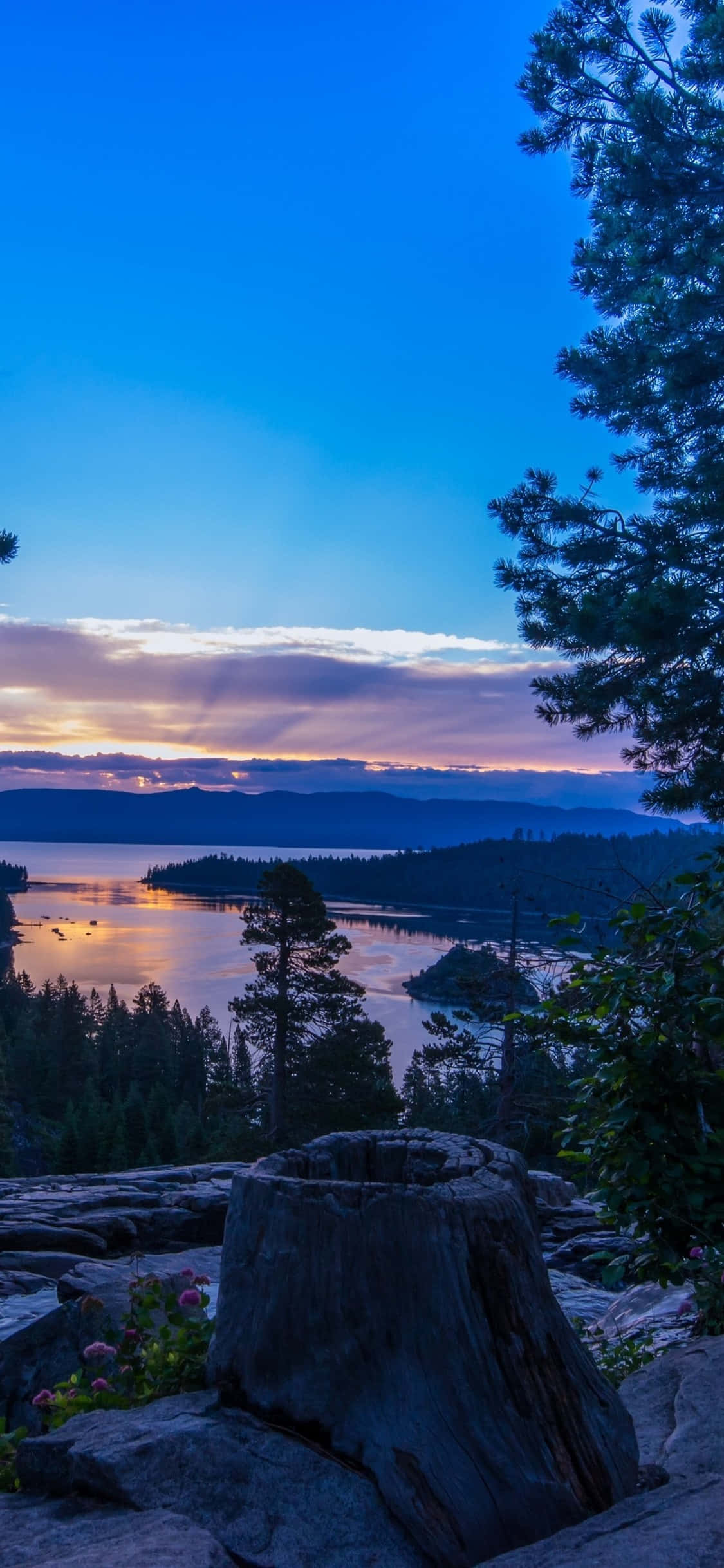 Disfruta las vistas impresionantes de California usando el iPhone X Fondos de pantalla