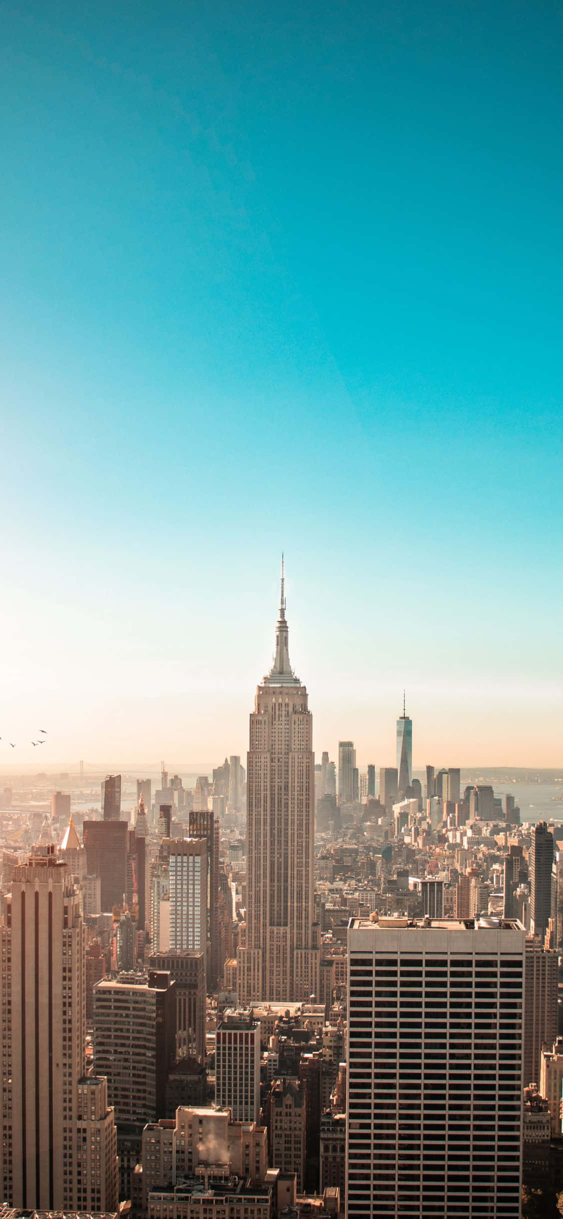 Disfruta las vistas de Nueva York con el último iPhone—el iPhone Xs Fondos de pantalla