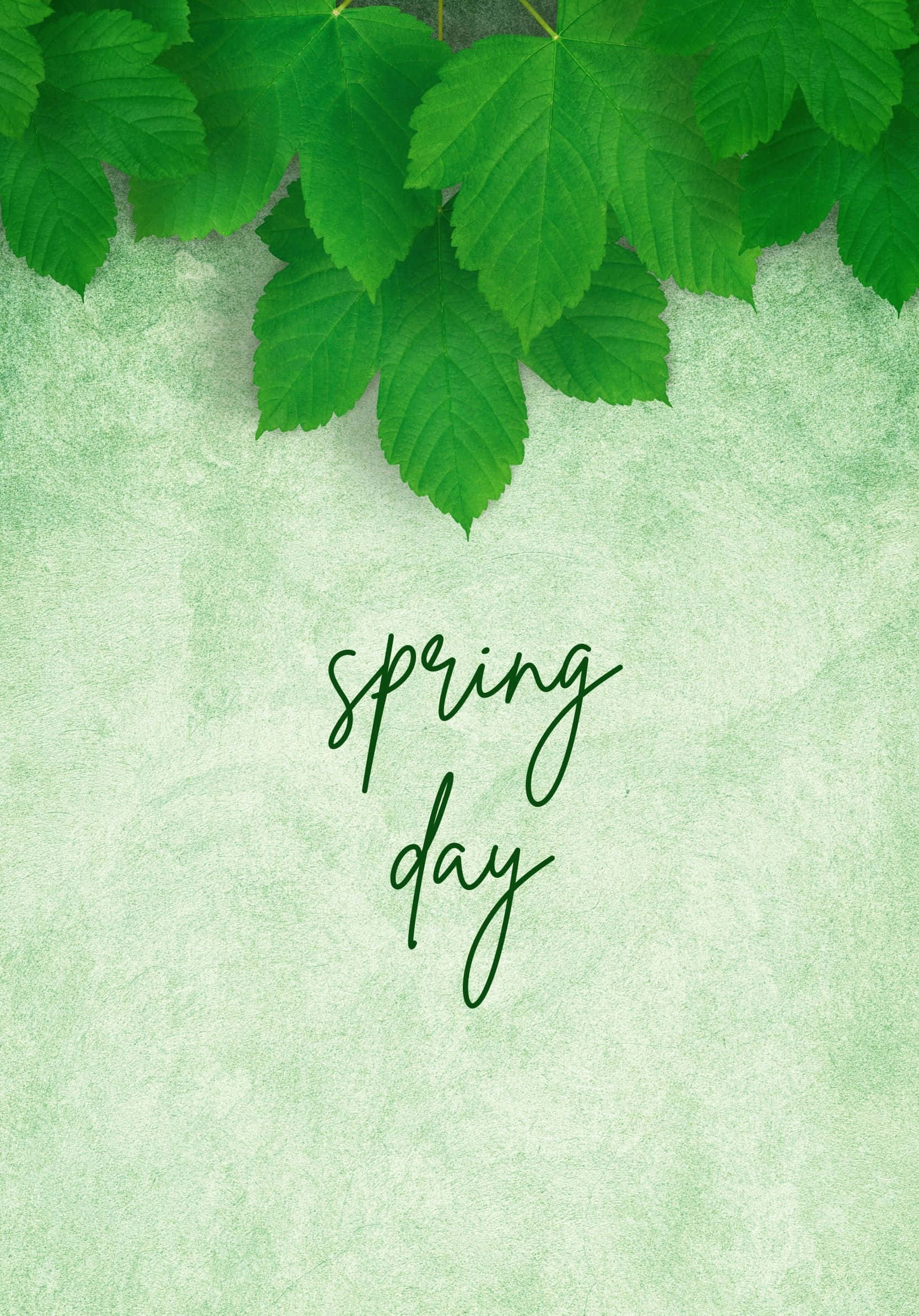 Disfruta lo Mejor de la Primavera Fondos de pantalla