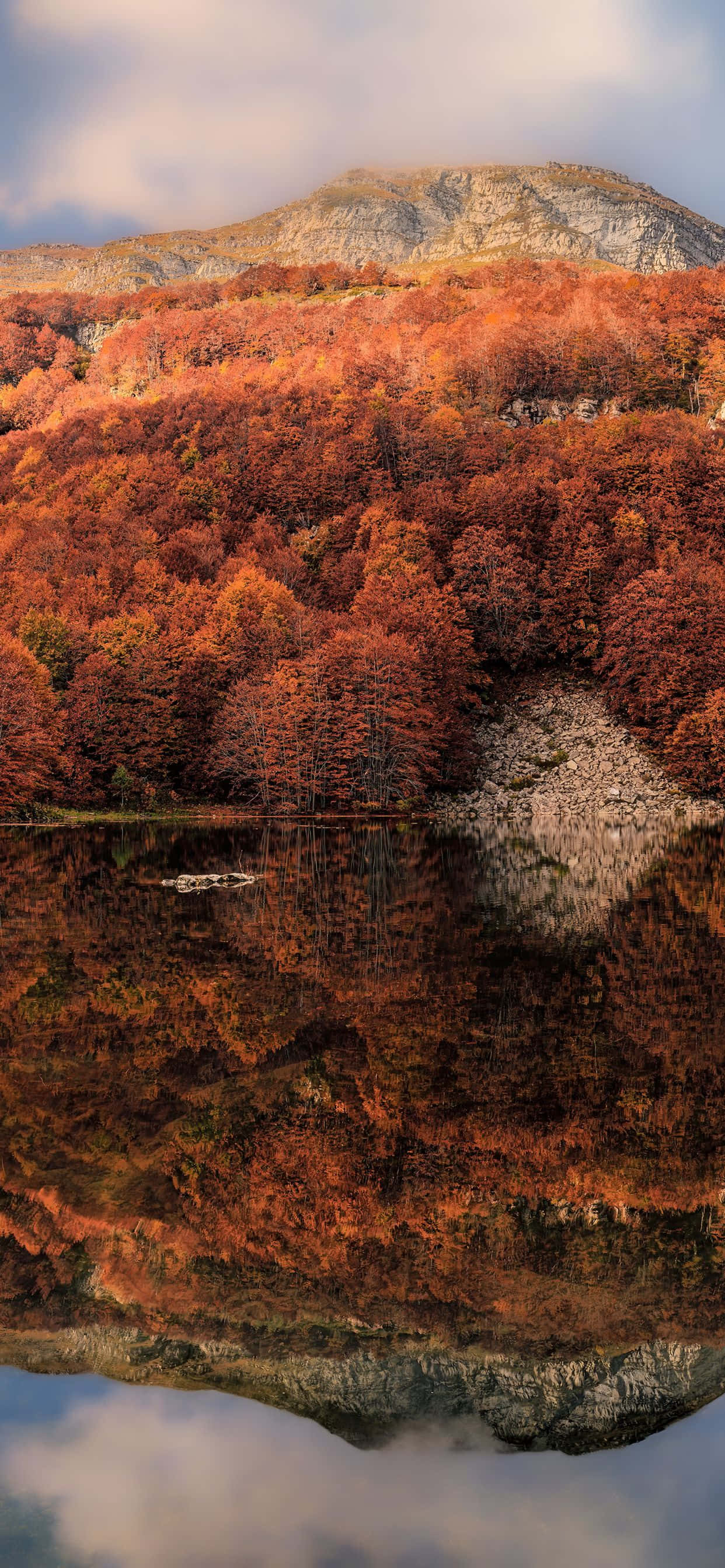 Disfruta los días nítidos de otoño bajo la luz dorada con el nuevo iPhone Xs Max. Fondos de pantalla