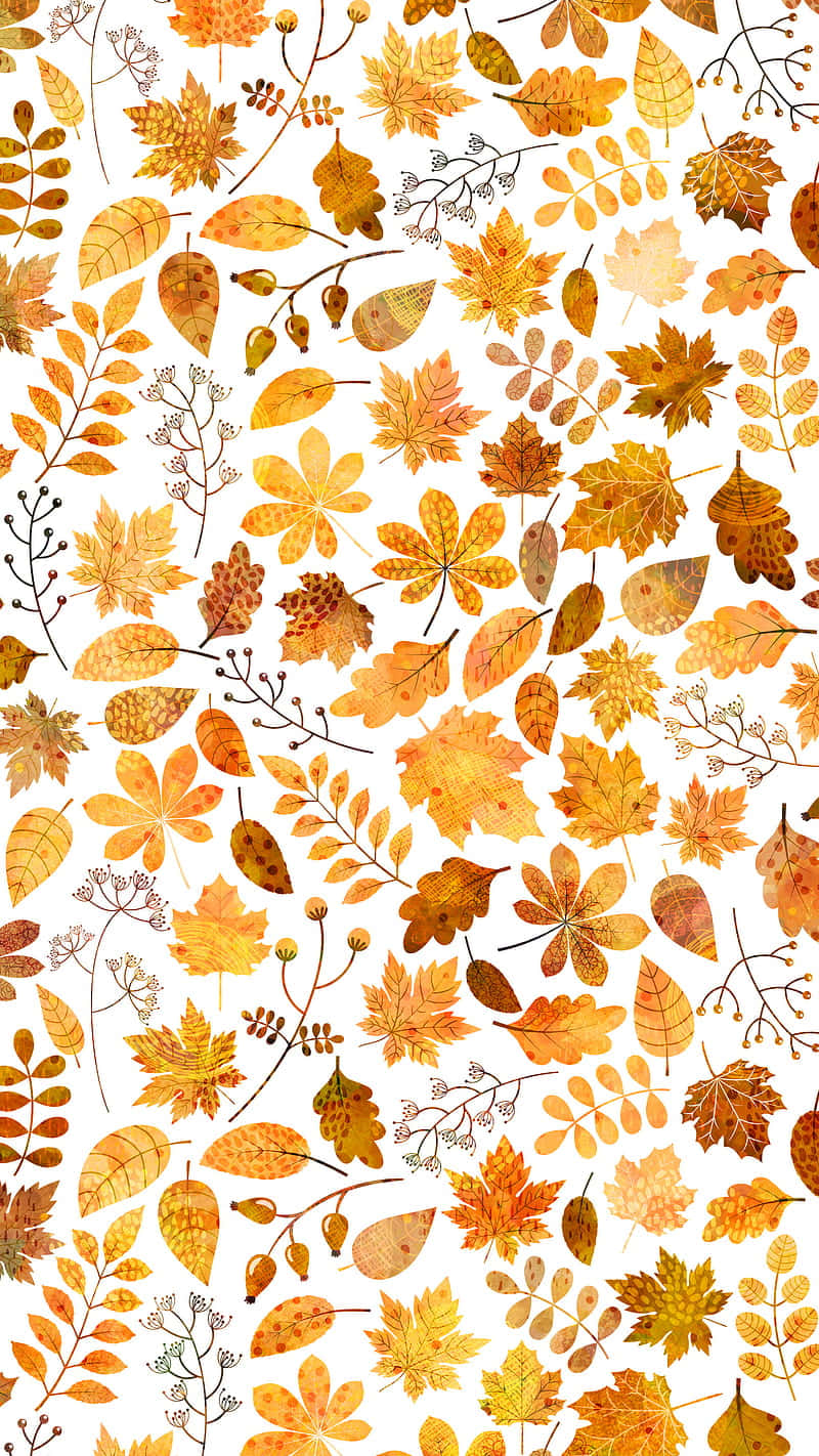 ¡Disfruta los vibrantes colores del otoño con este lindo zorrito! Fondos de pantalla