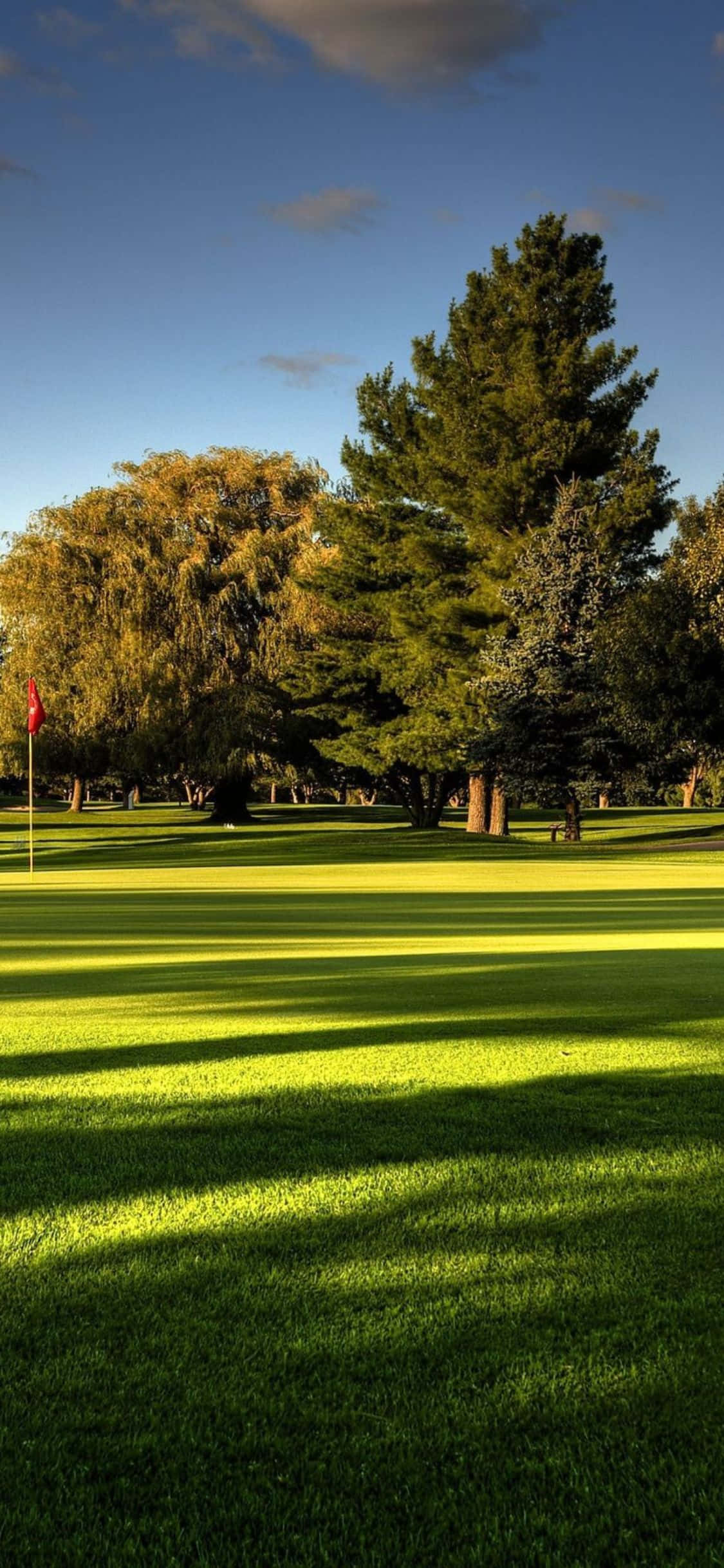 Disfruta un día sereno de golf en este hermoso campo de golf arbolado Fondos de pantalla