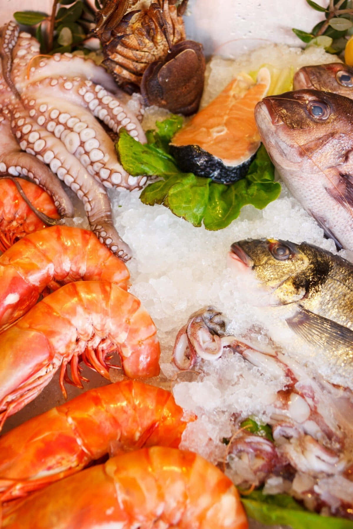 Disfruta un Plato de Mariscos Frescos Fondos de pantalla