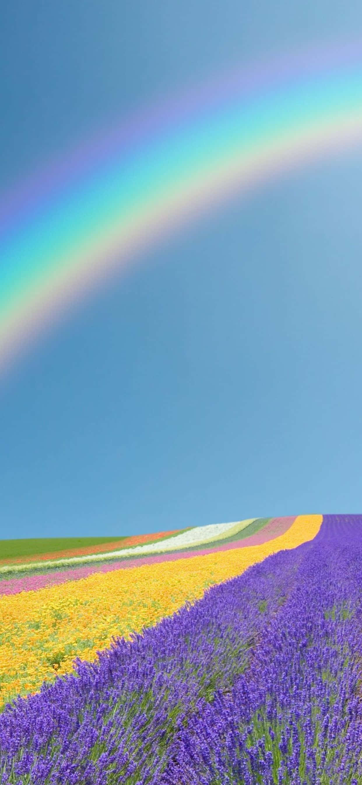Disfruta una hermosa primavera con el Google Pixel 3 Fondos de pantalla