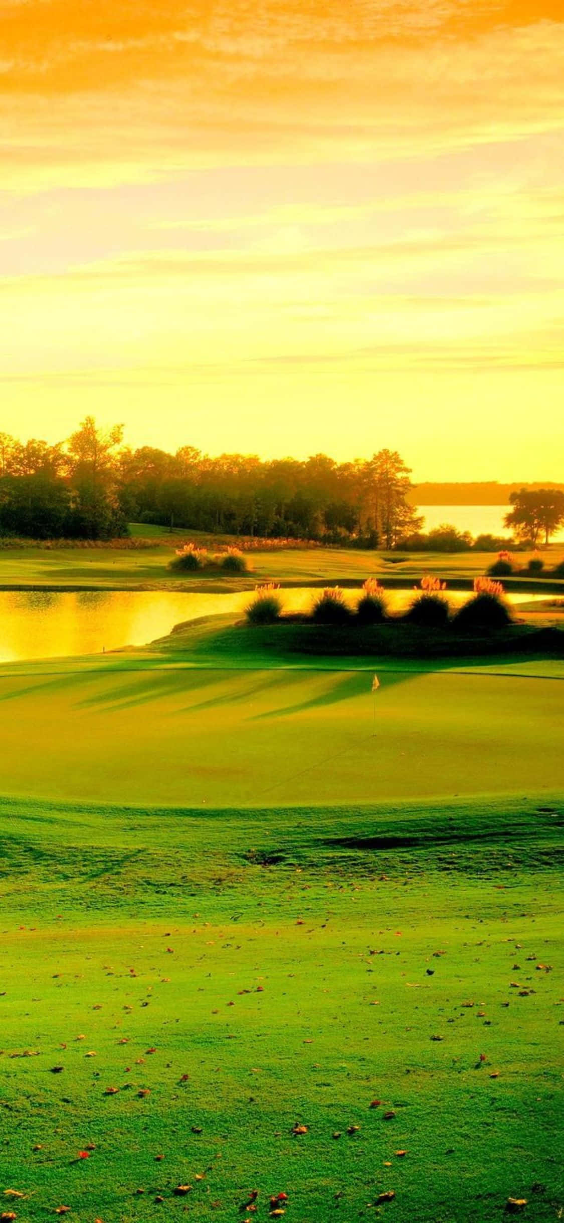 Disfruta una ronda de golf en este idílico campo de golf en tu iPhone X Fondos de pantalla