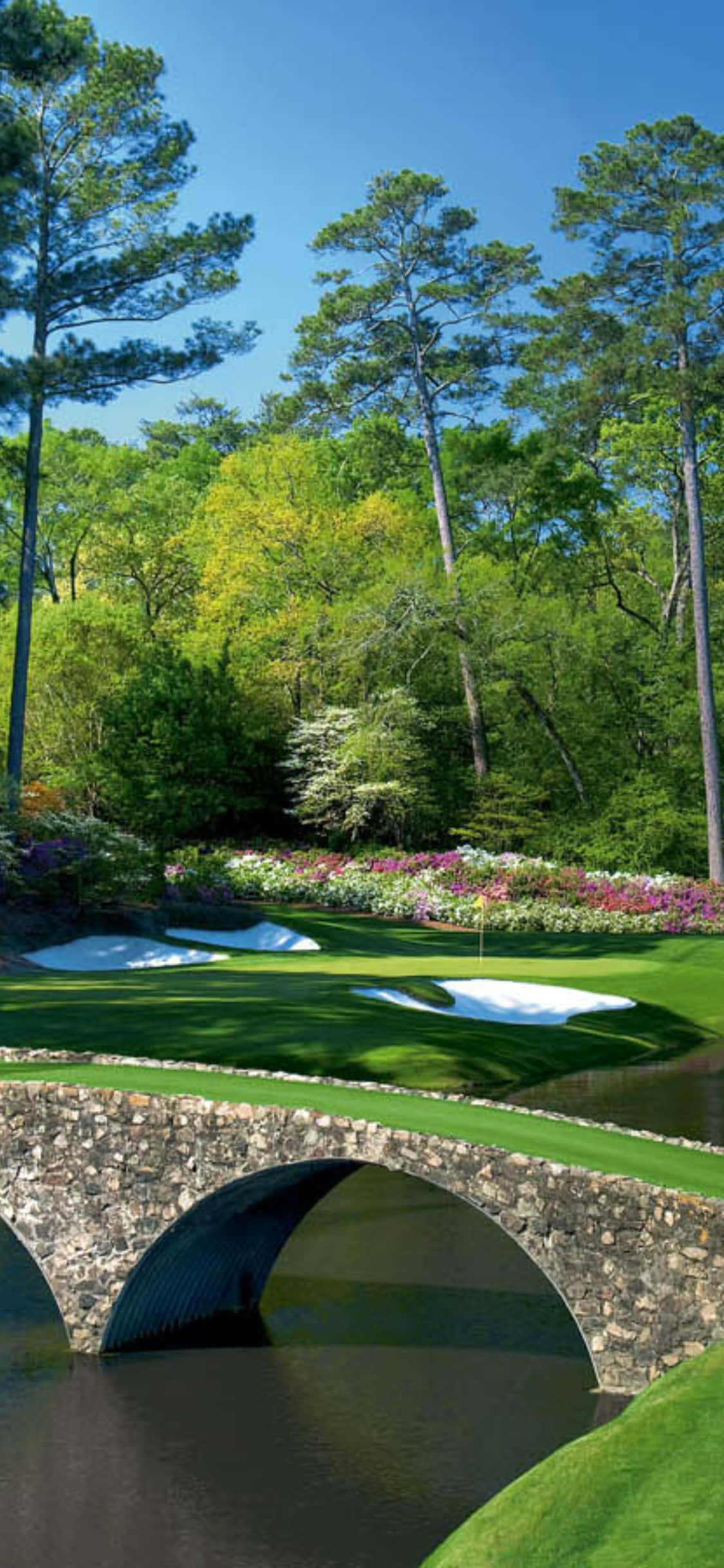 Disfruta una ronda de golf en medio de la naturaleza con tu iPhone X Fondos de pantalla
