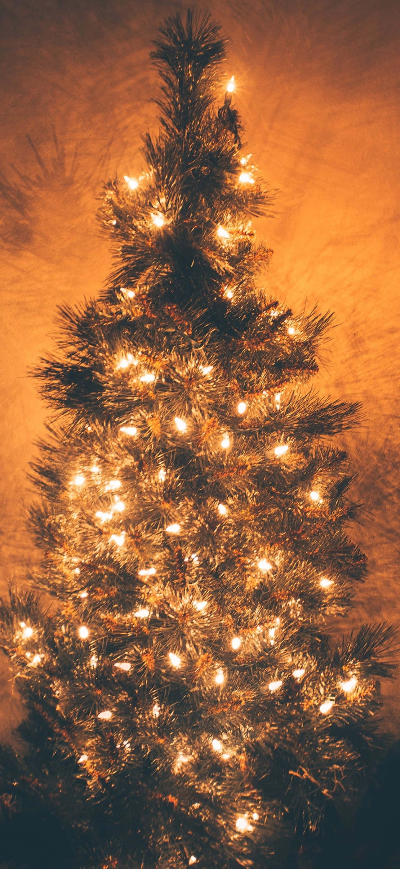 Disfruta una temporada navideña mágica con este fondo de iPhone temático Fondos de pantalla