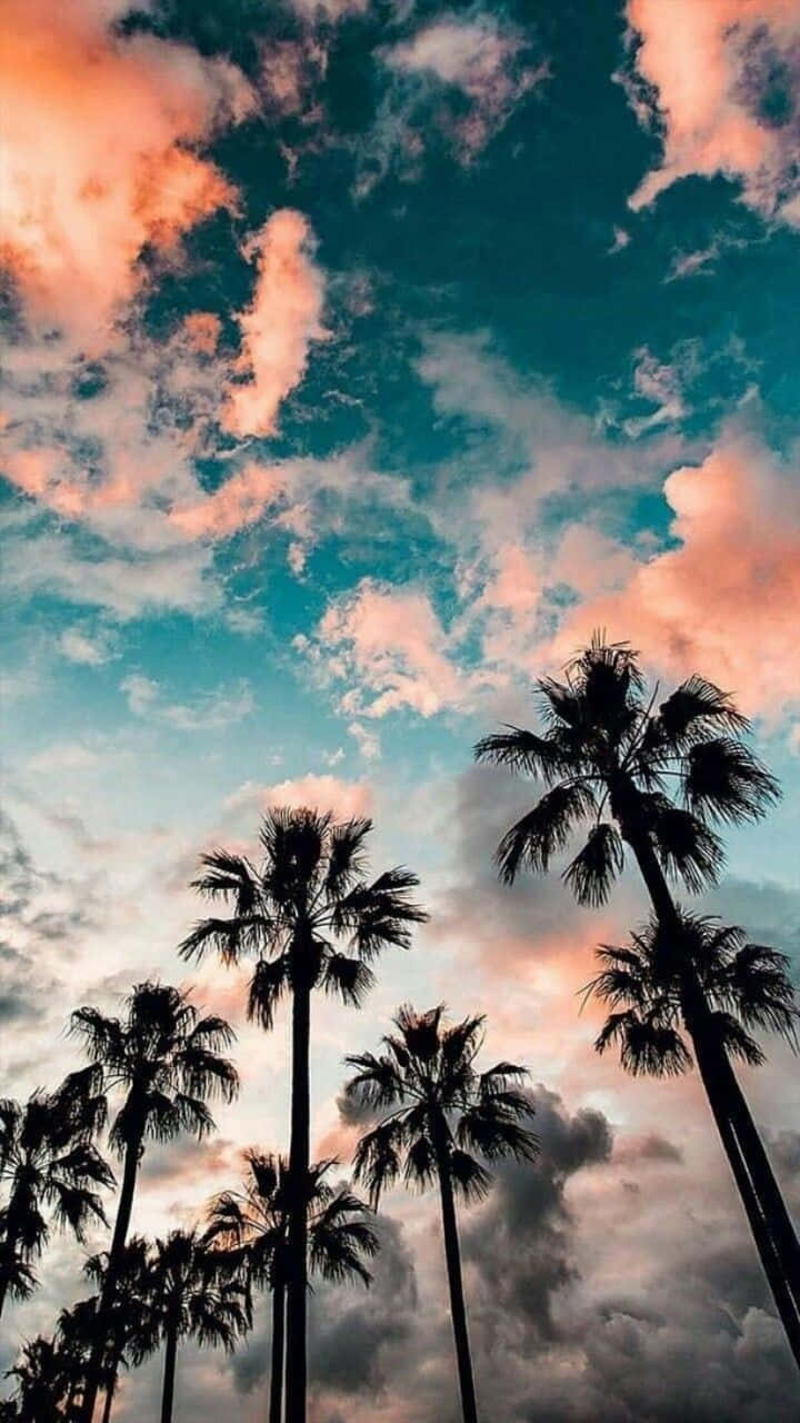 Disfrutando el cálido sol de verano Fondos de pantalla