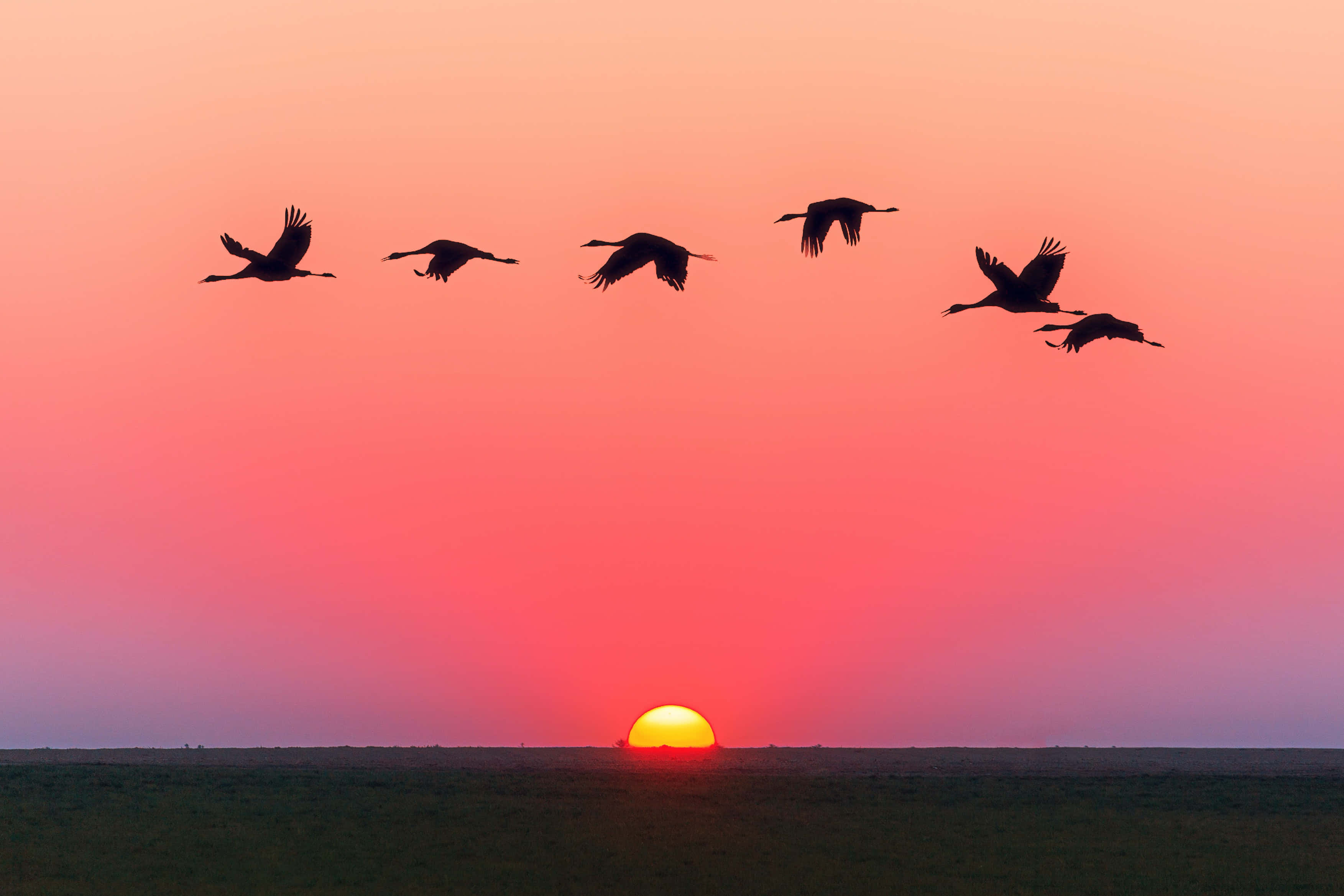 Disfrutando la belleza de un atardecer cautivador Fondos de pantalla