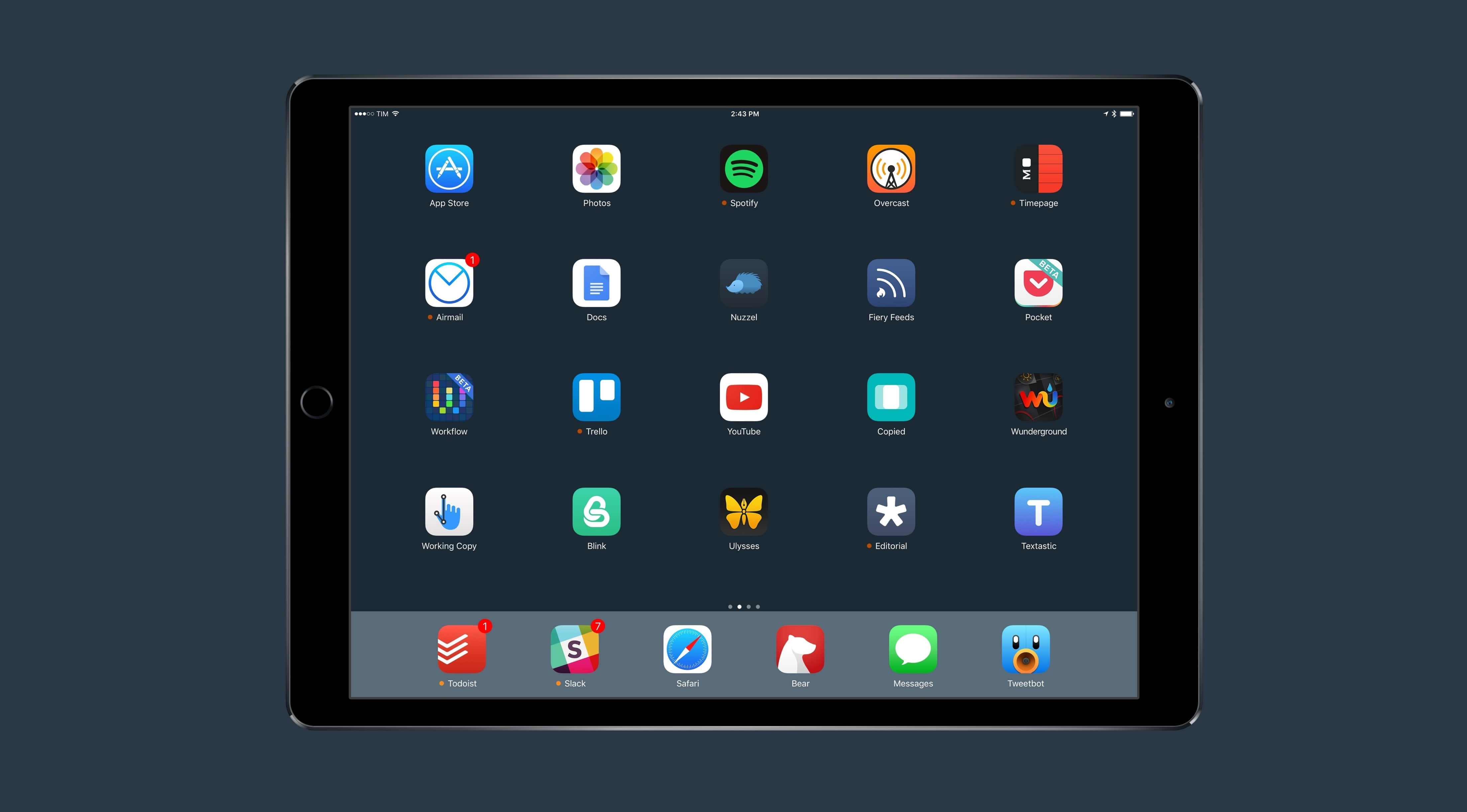 Disfrutando la vida con iPad Fondos de pantalla