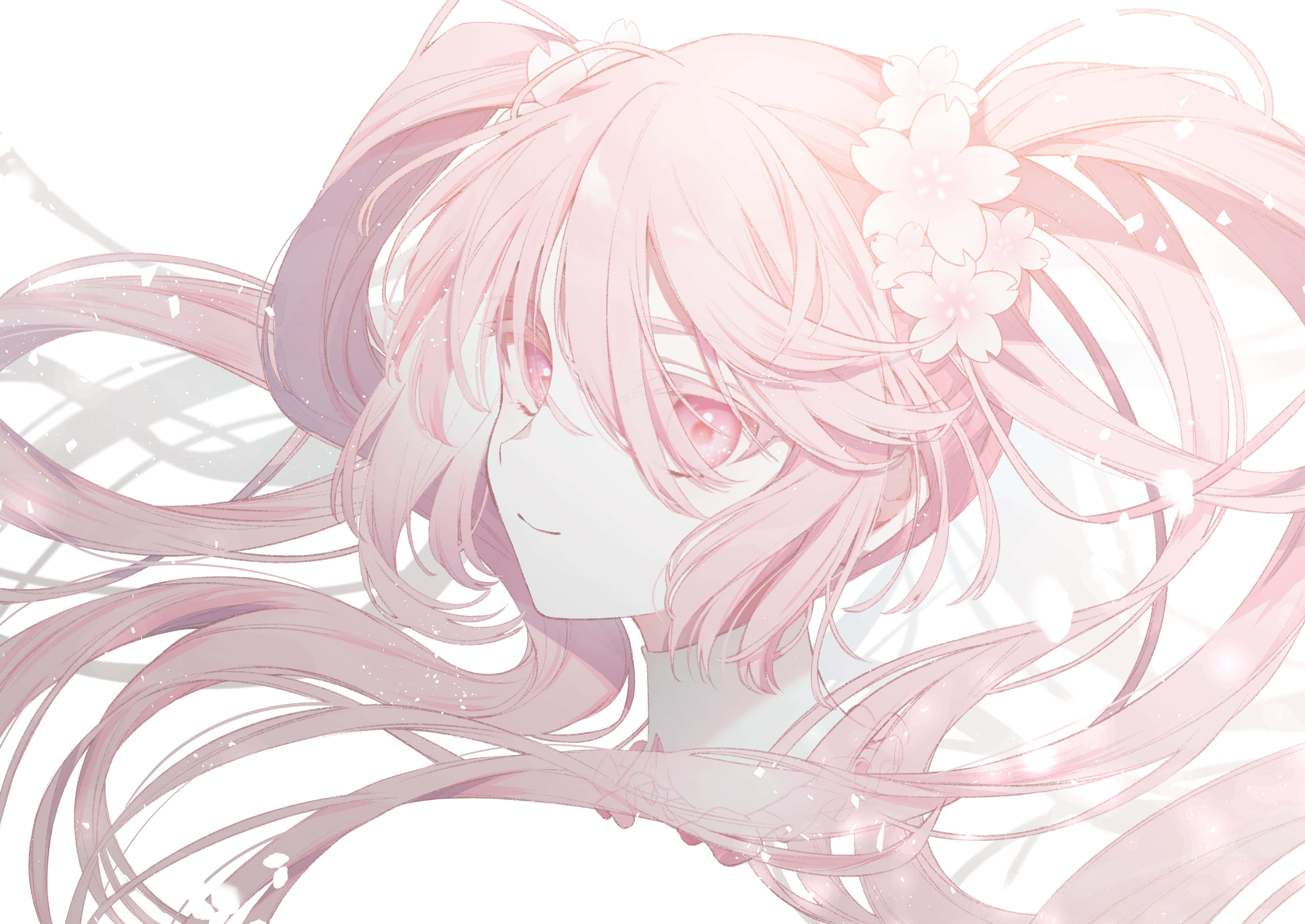 Disfrutando los hermosos pétalos de cerezo con Sakura Miku Fondos de pantalla