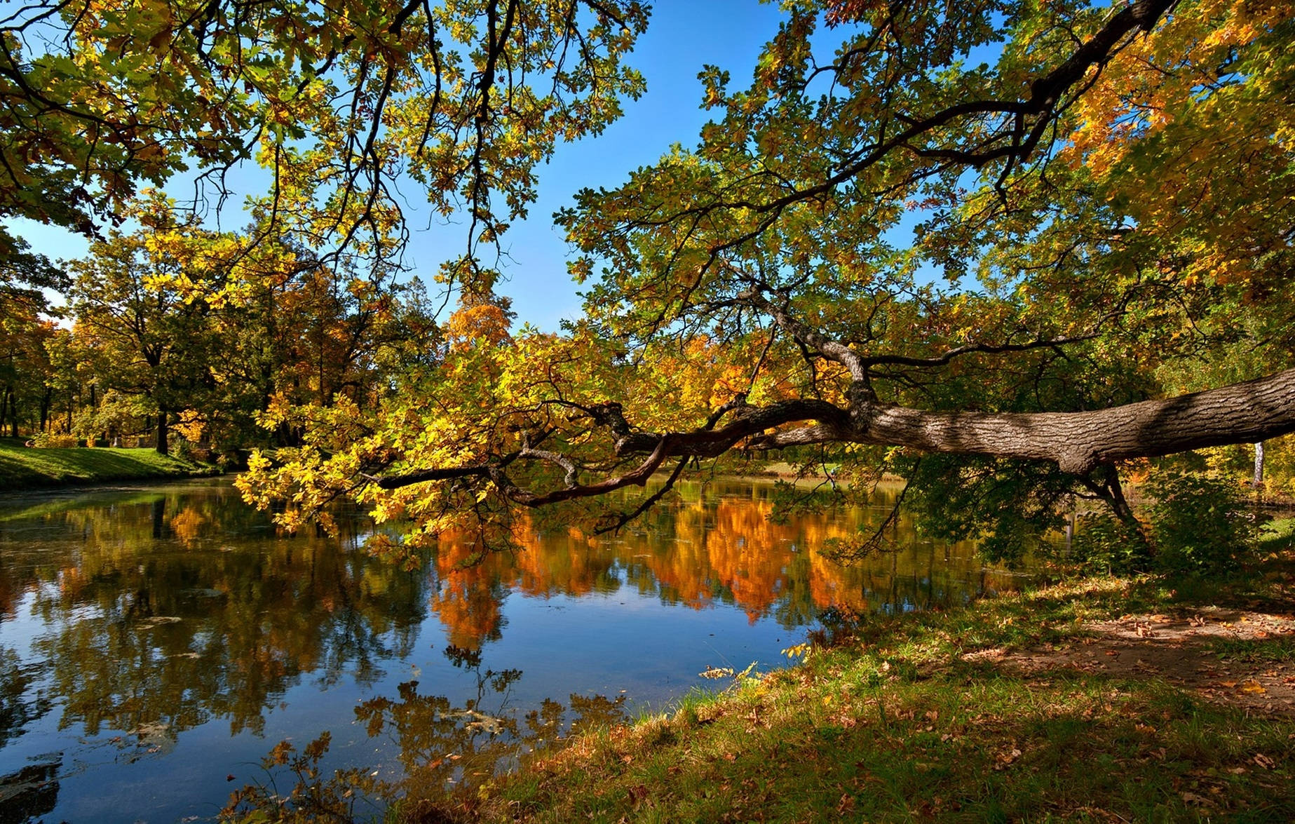 Disfrutando los Colores del Otoño en el Estanque Fondos de pantalla