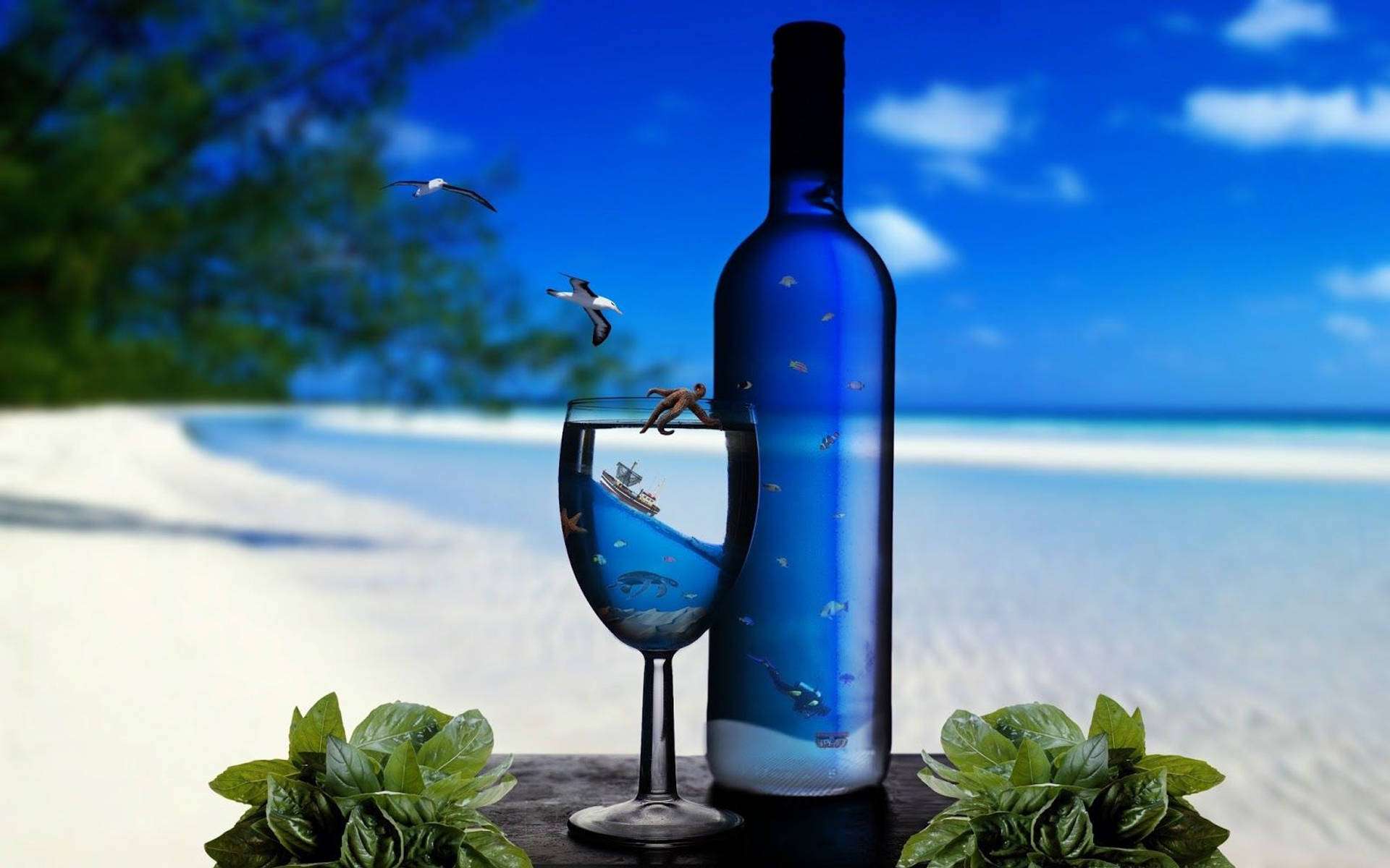 Disfrutando una Bebida Fría en la Playa Fondos de pantalla