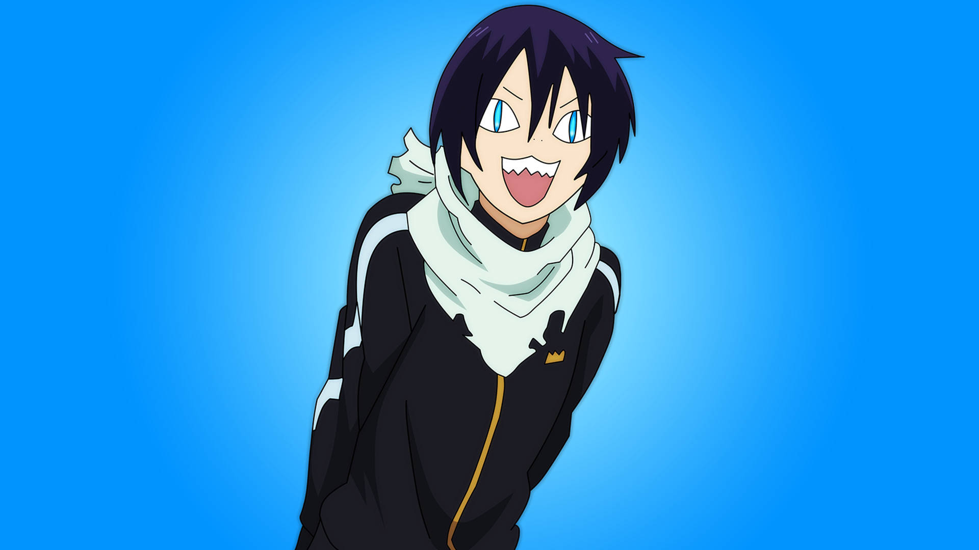 Divertida cara de gato de Yato de anime Fondos de pantalla
