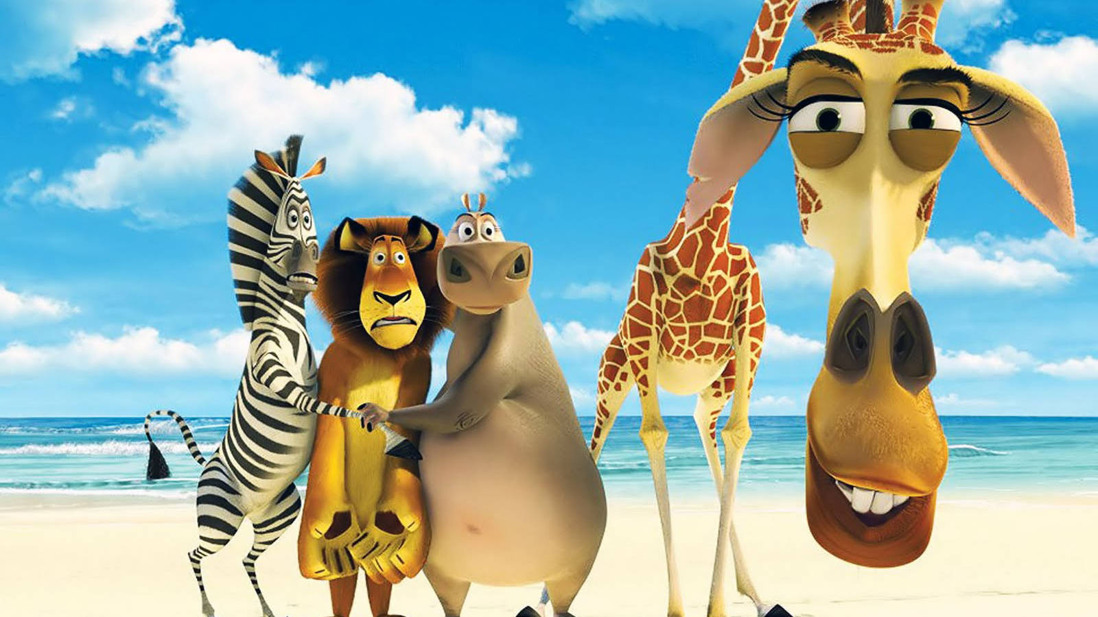 Divertido Anime Madagascar Fondos de pantalla