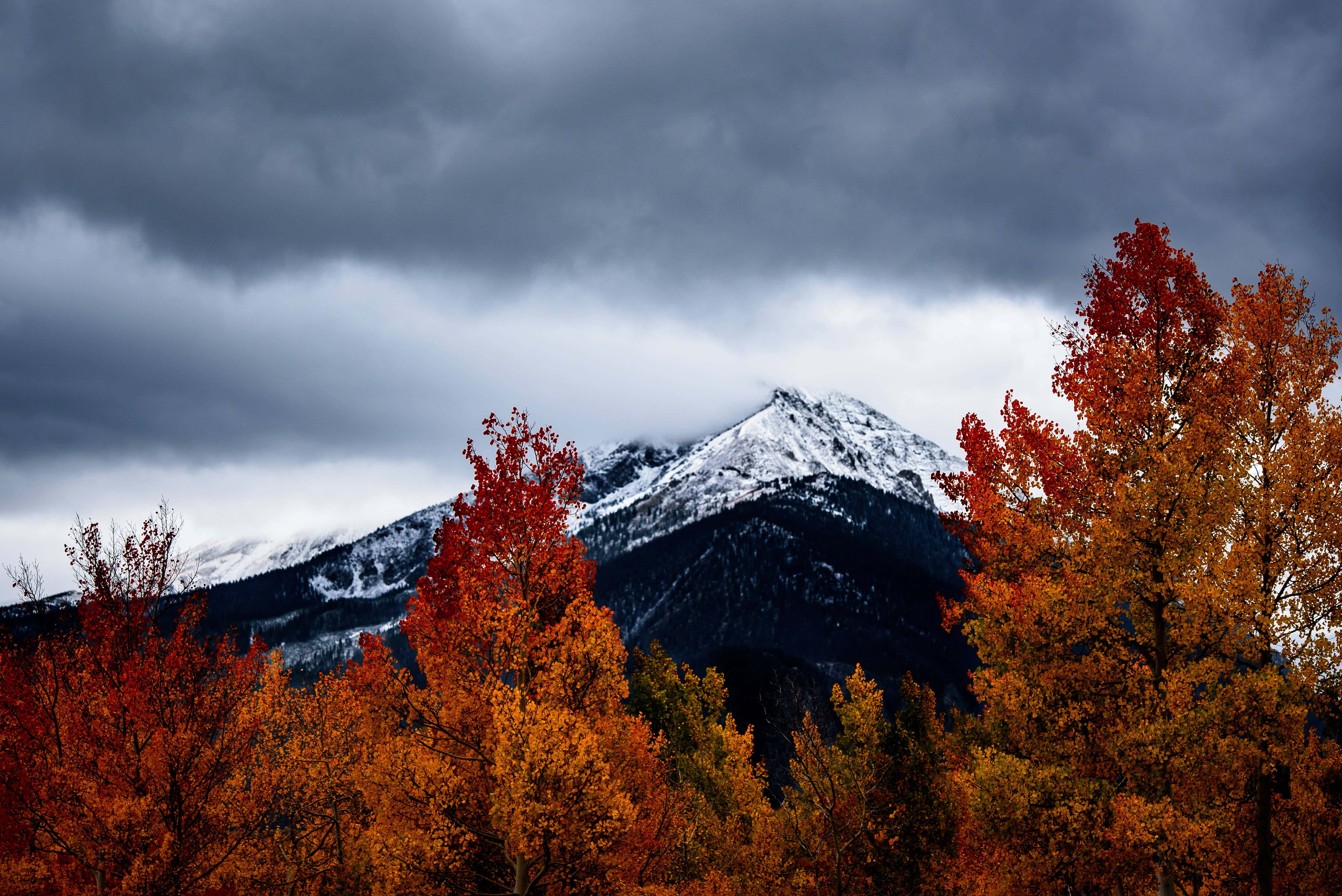 ¡Diviértete y disfruta de la belleza de este otoño! Fondos de pantalla
