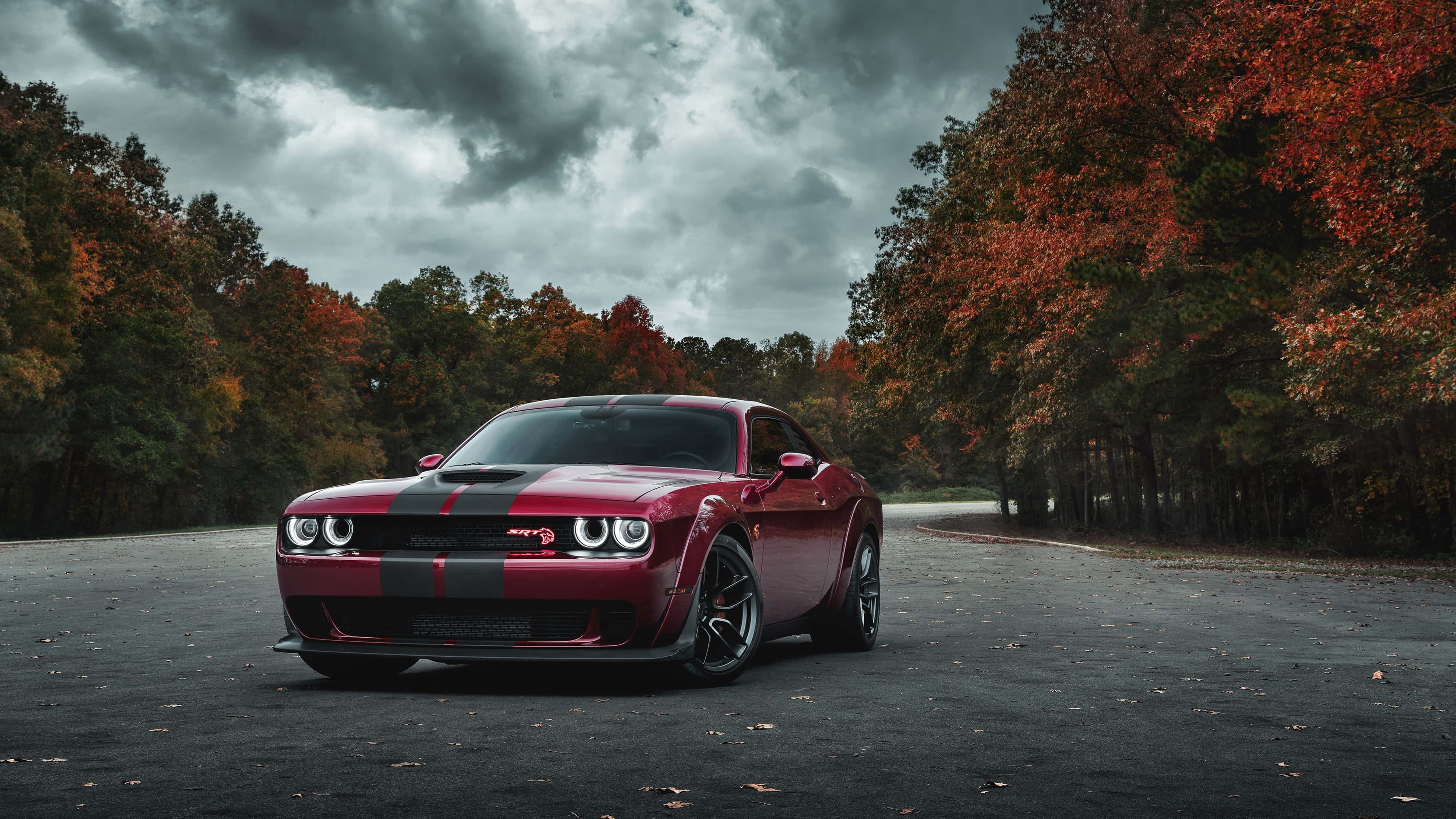 Dodge Hellcat 4K en Estacionamiento del Bosque Fondos de pantalla