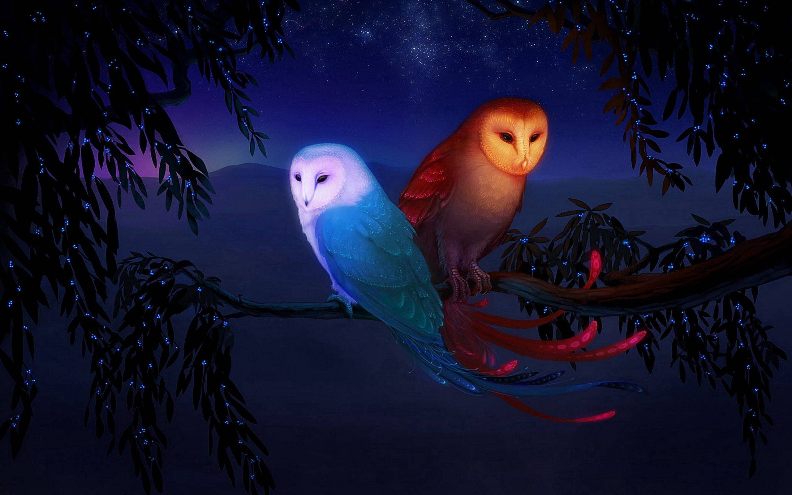 Dos búhos en una escena nocturna Fondos de pantalla