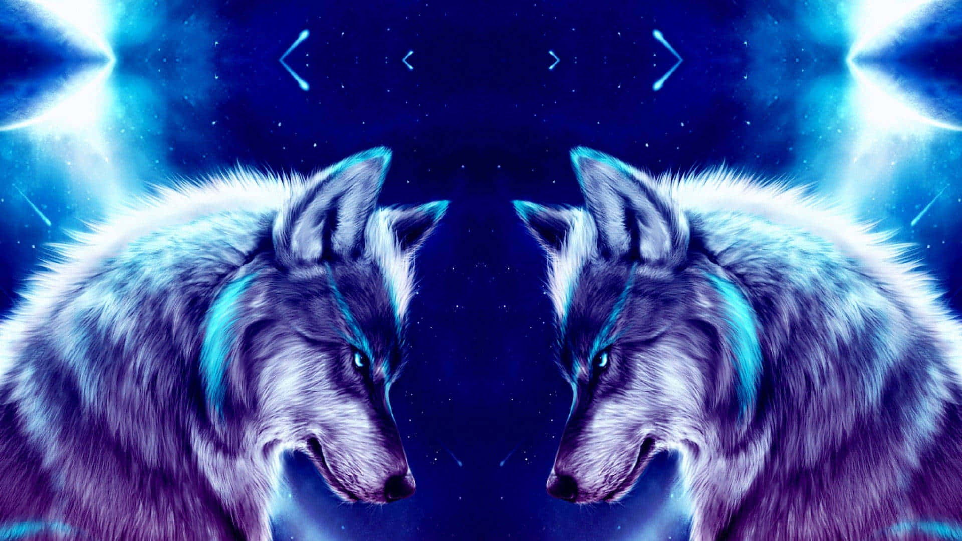 dos lobos en el cielo nocturno Fondos de pantalla