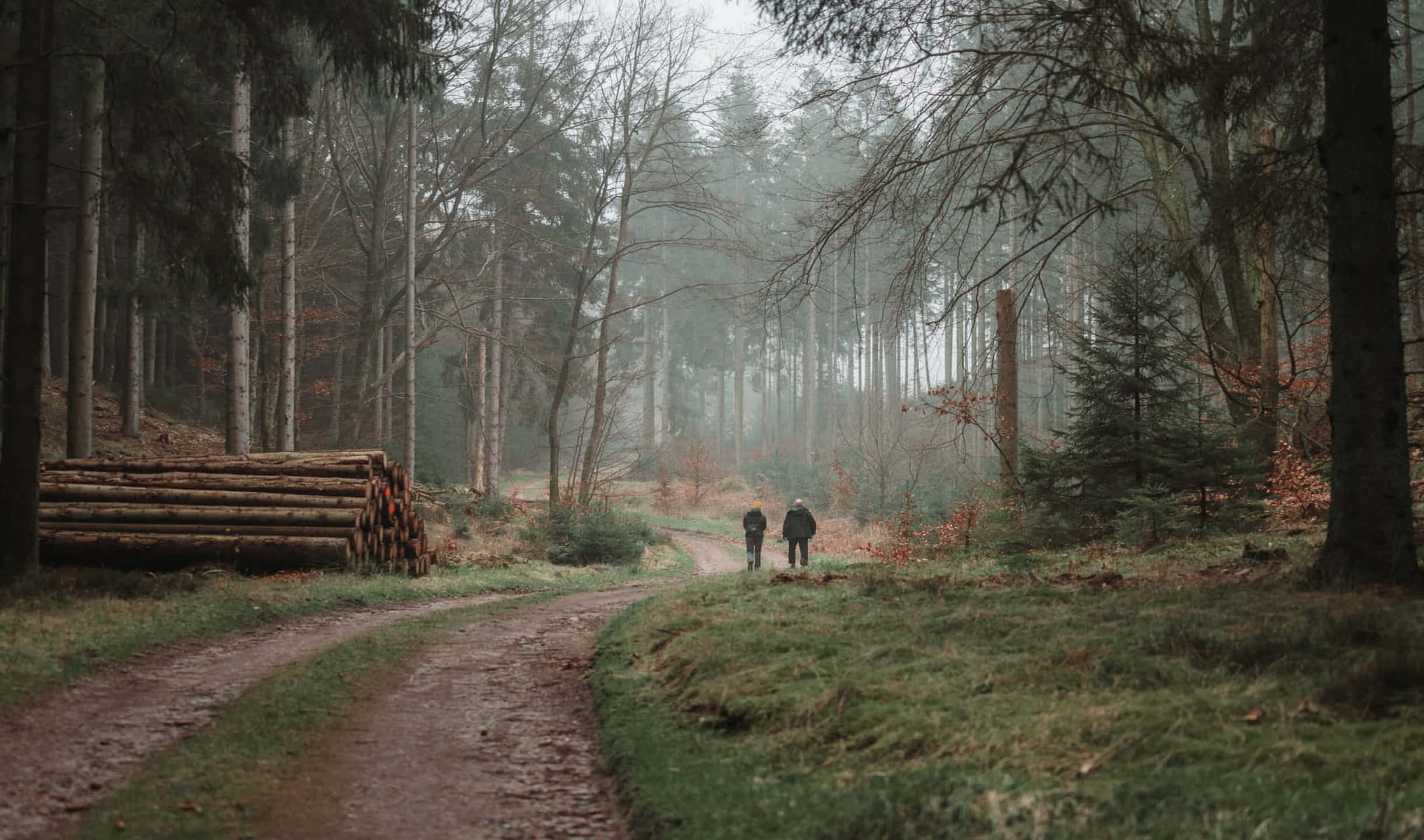 dos personas caminando por un camino de tierra en el bosque Fondos de pantalla