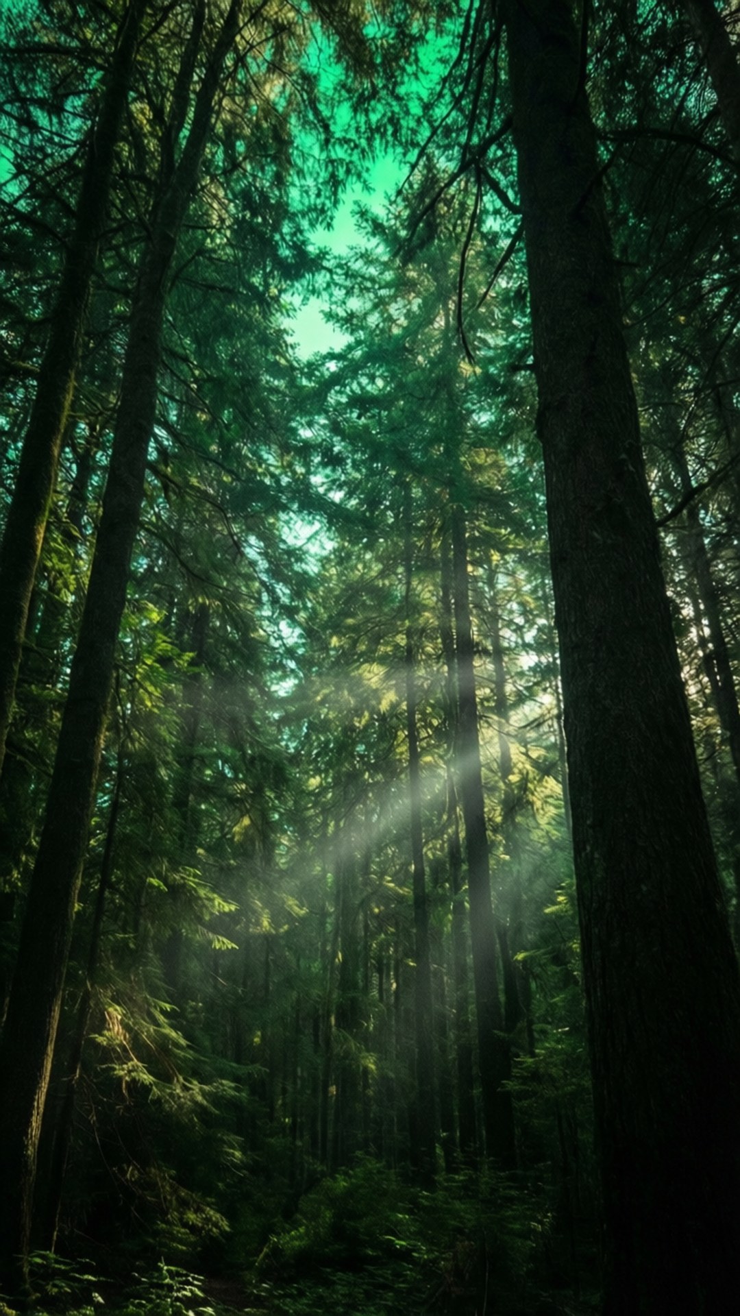 Dosel Forestal Luz Verde Fondos de pantalla