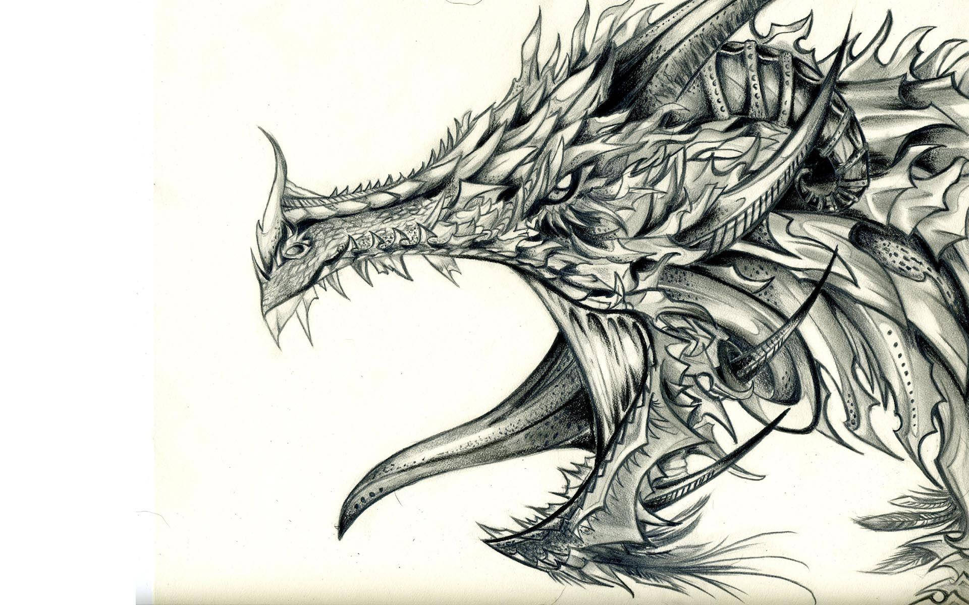 Dragón Acorazado con Dibujo Genial Fondos de pantalla