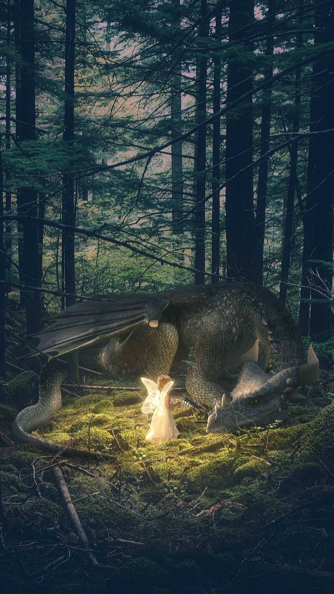 Dragón estético de hada Fondos de pantalla